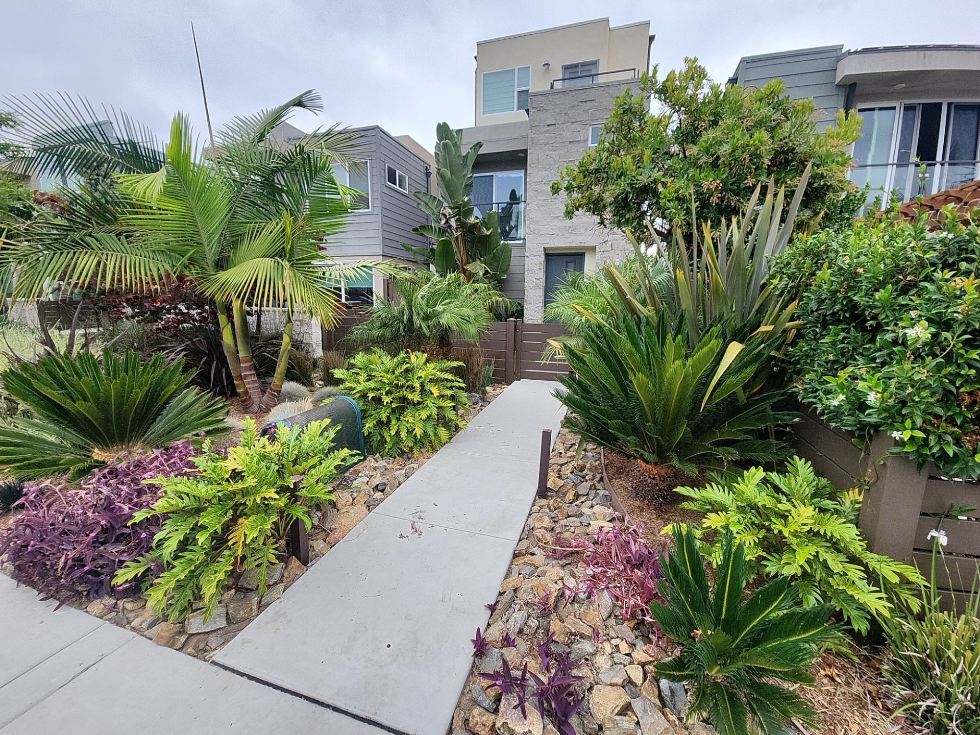 Modern Residential Landscaping in San Diego by Yard Techs