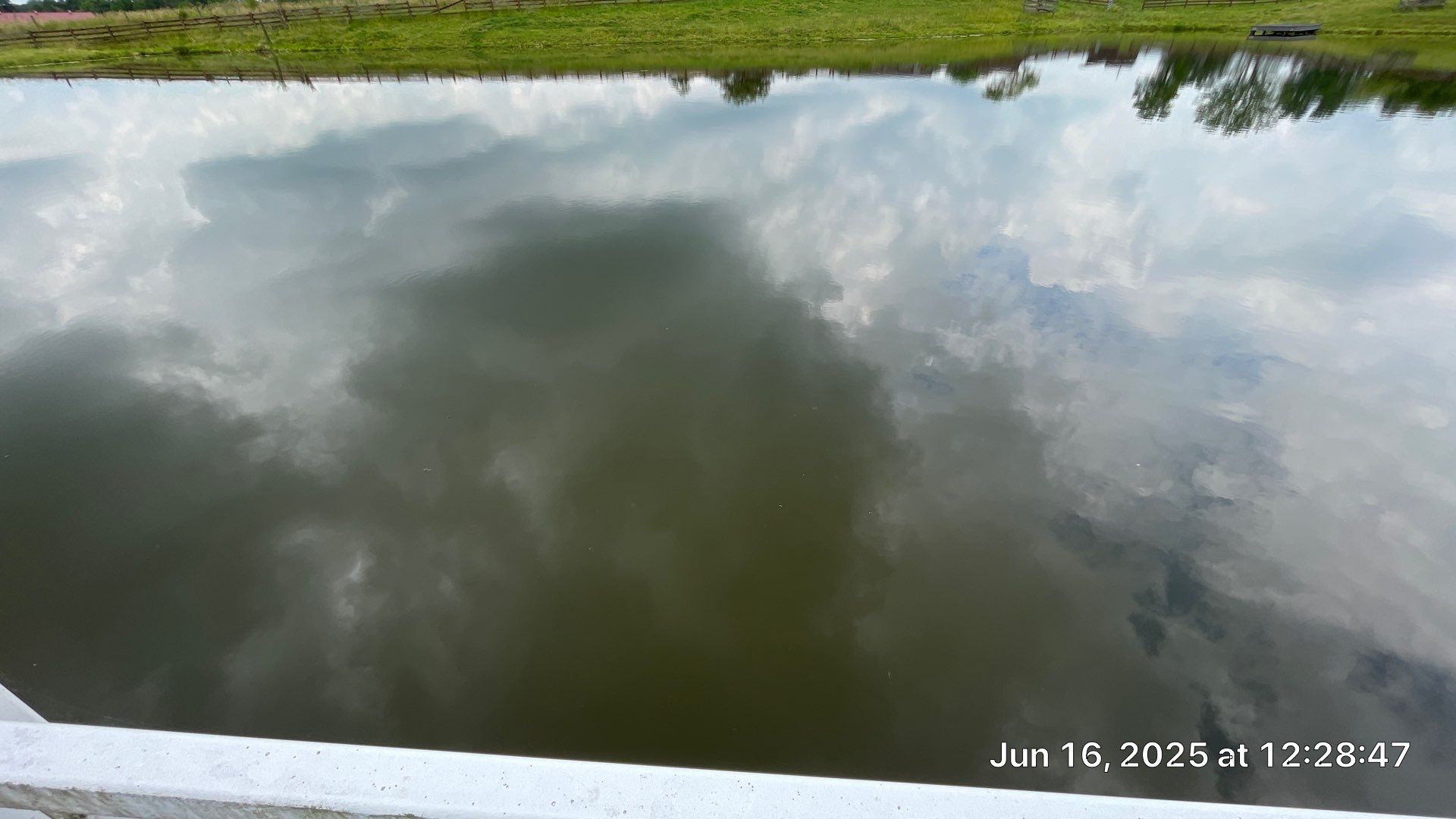 Maas Project by  Bellus Aquatic Solutions