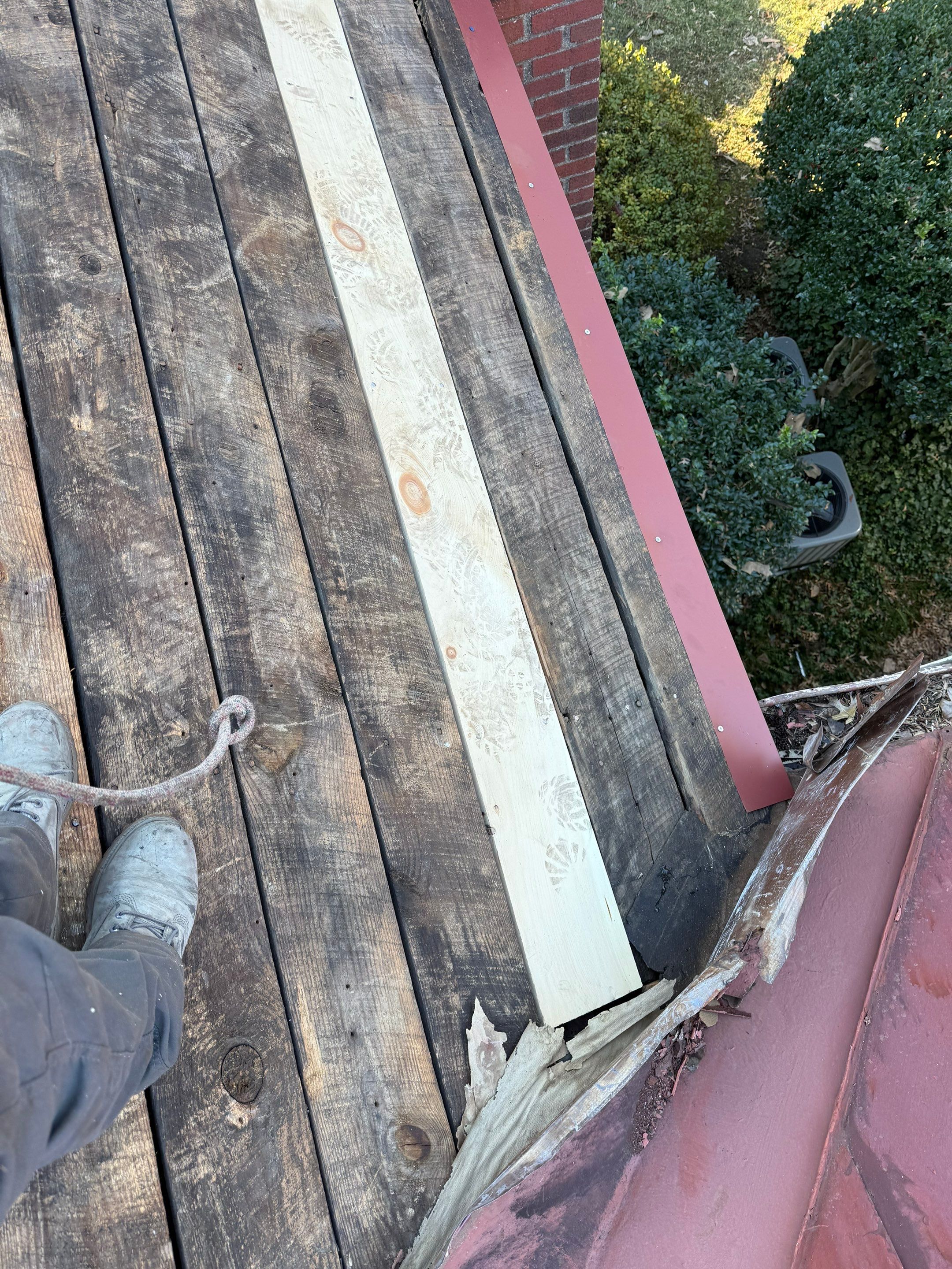 Alexandra: Residential Metal Roofing  by RM Banning, Inc.