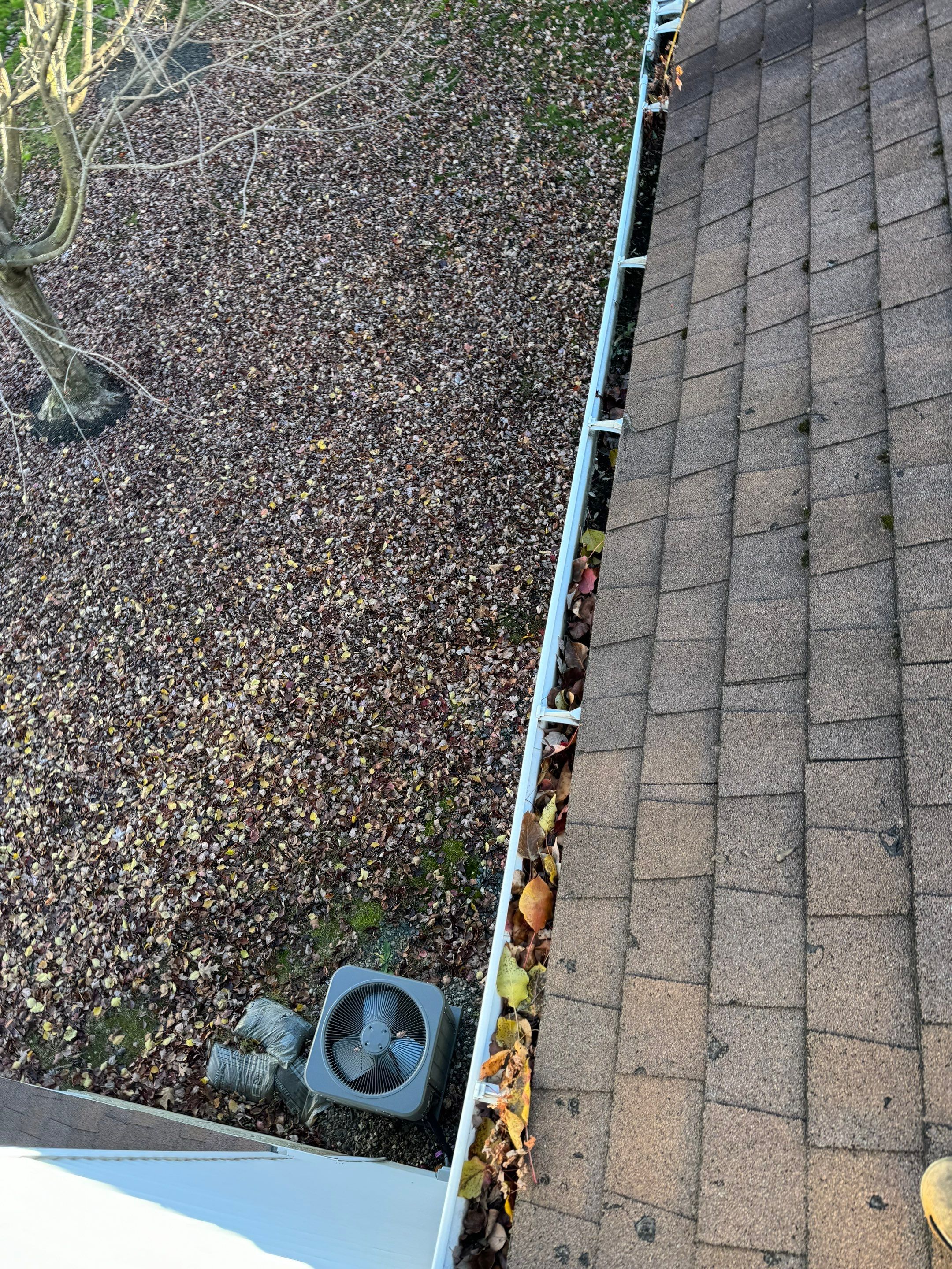 Commercial gutter cleaning Albany before photo with filled gutters