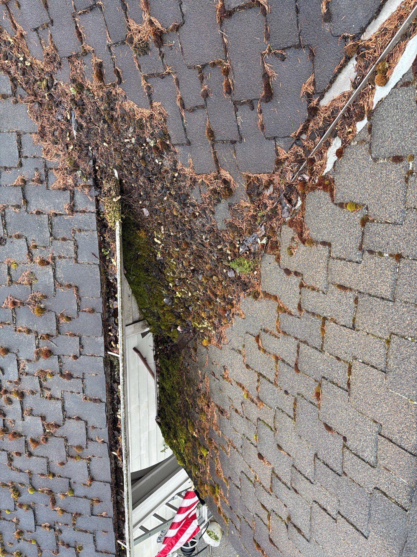 Roof Cleaning – Everett, WA by Everpro Construction
