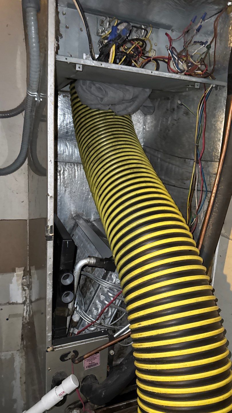 Extremely Dirty Air Duct Cleaning in Fruitland Park by Hygienic Air, Inc