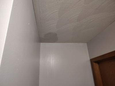 Mold and Water Damage in Belaire Ohio Home