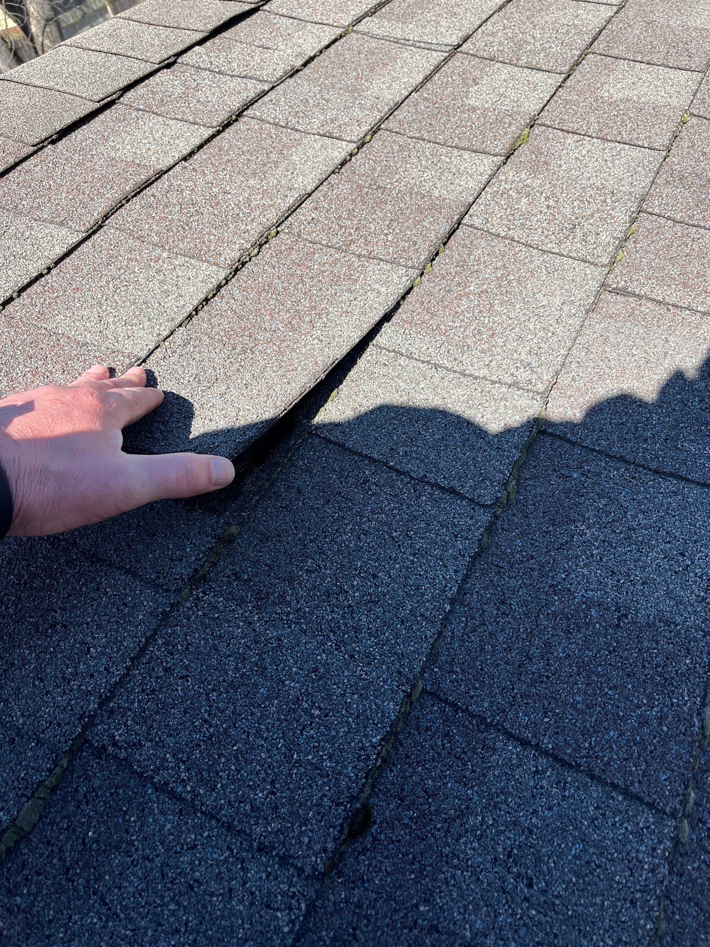 Roof Replacement using Owens Corning Summer Harvest by 180 Contractors