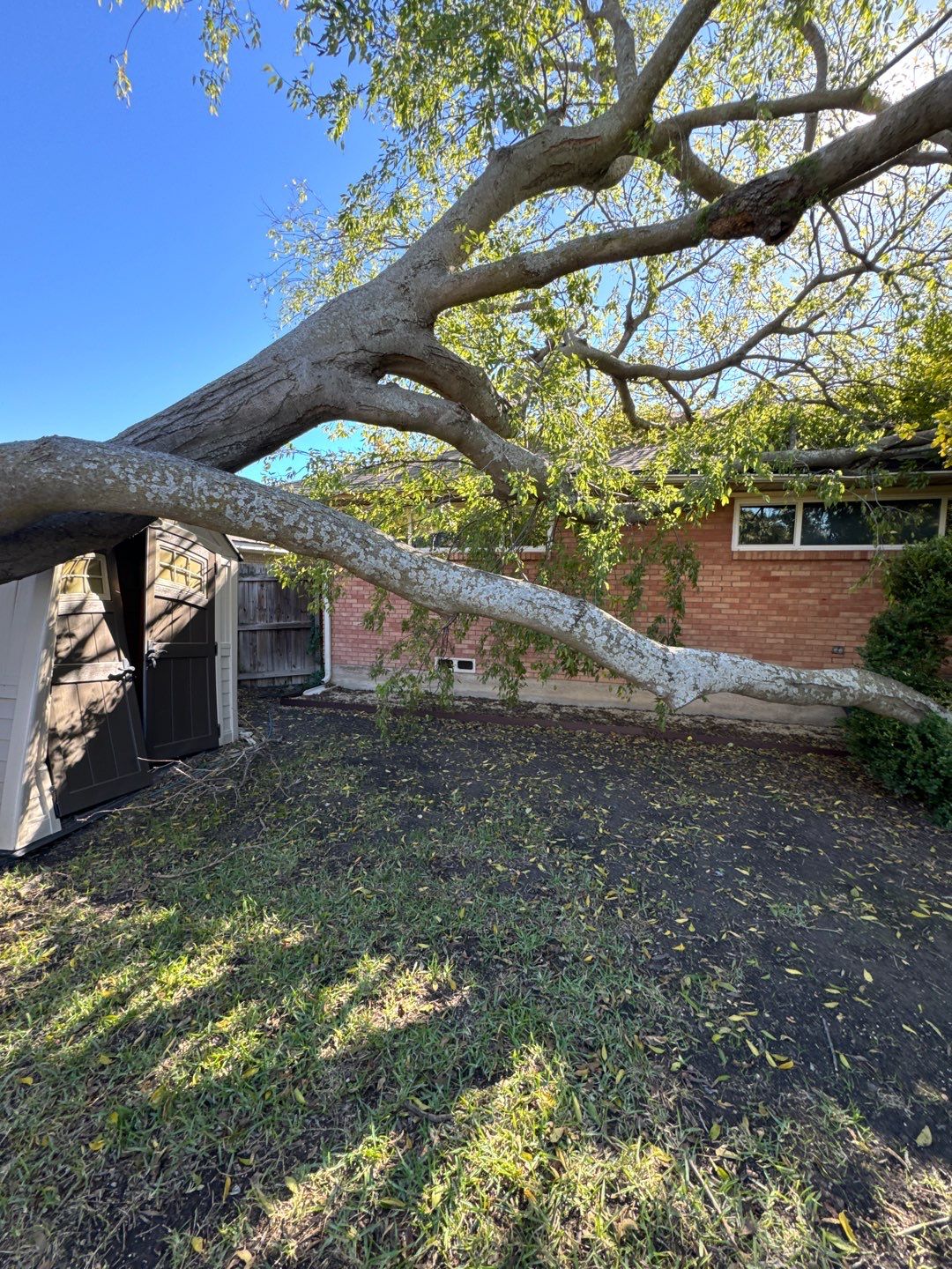 Residential Roof Repair by Springtree Restoration