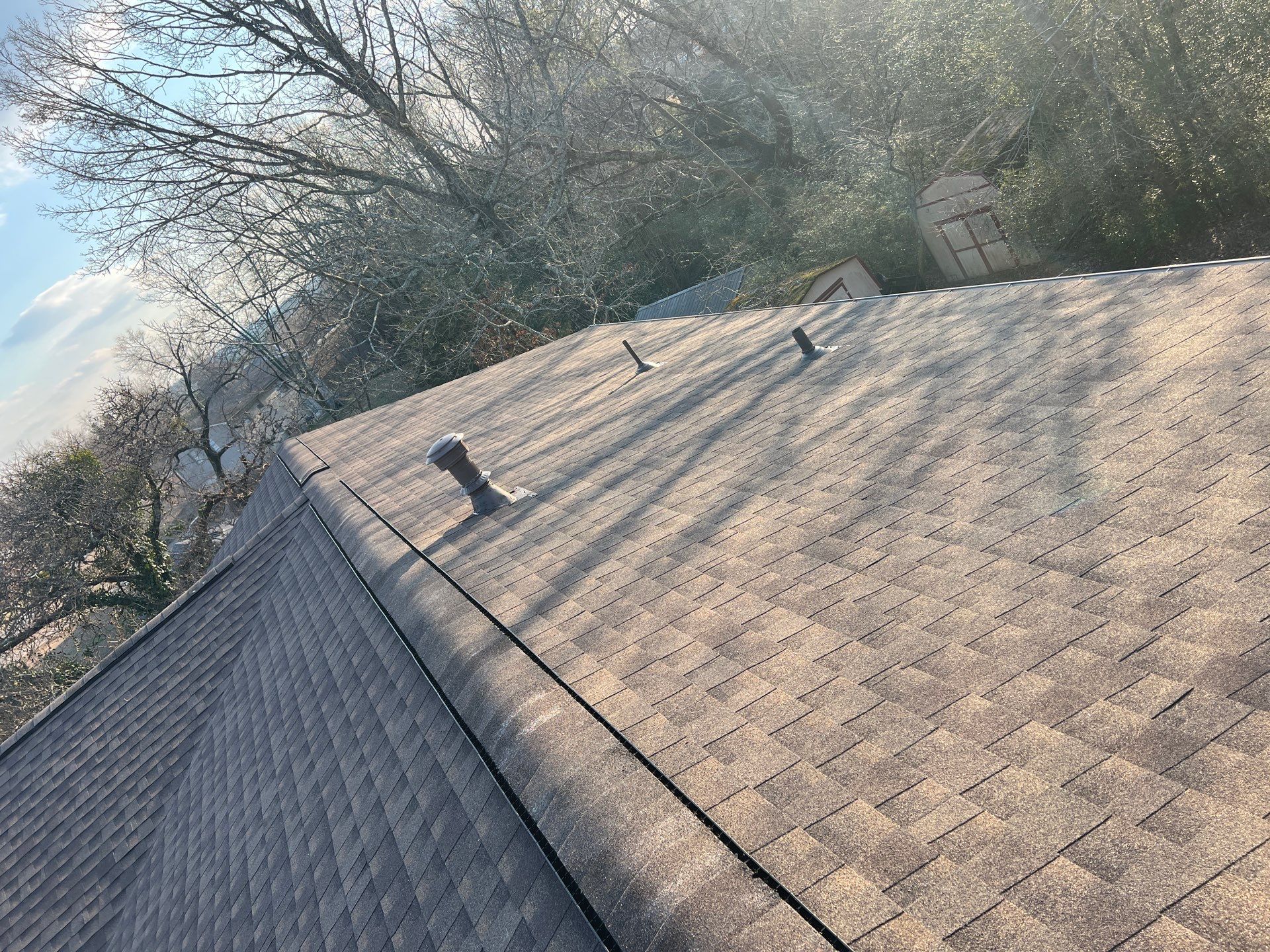 Roof Replacement (Barkwood) and Tree Removal in Birmingham  by The Roofing Dudes