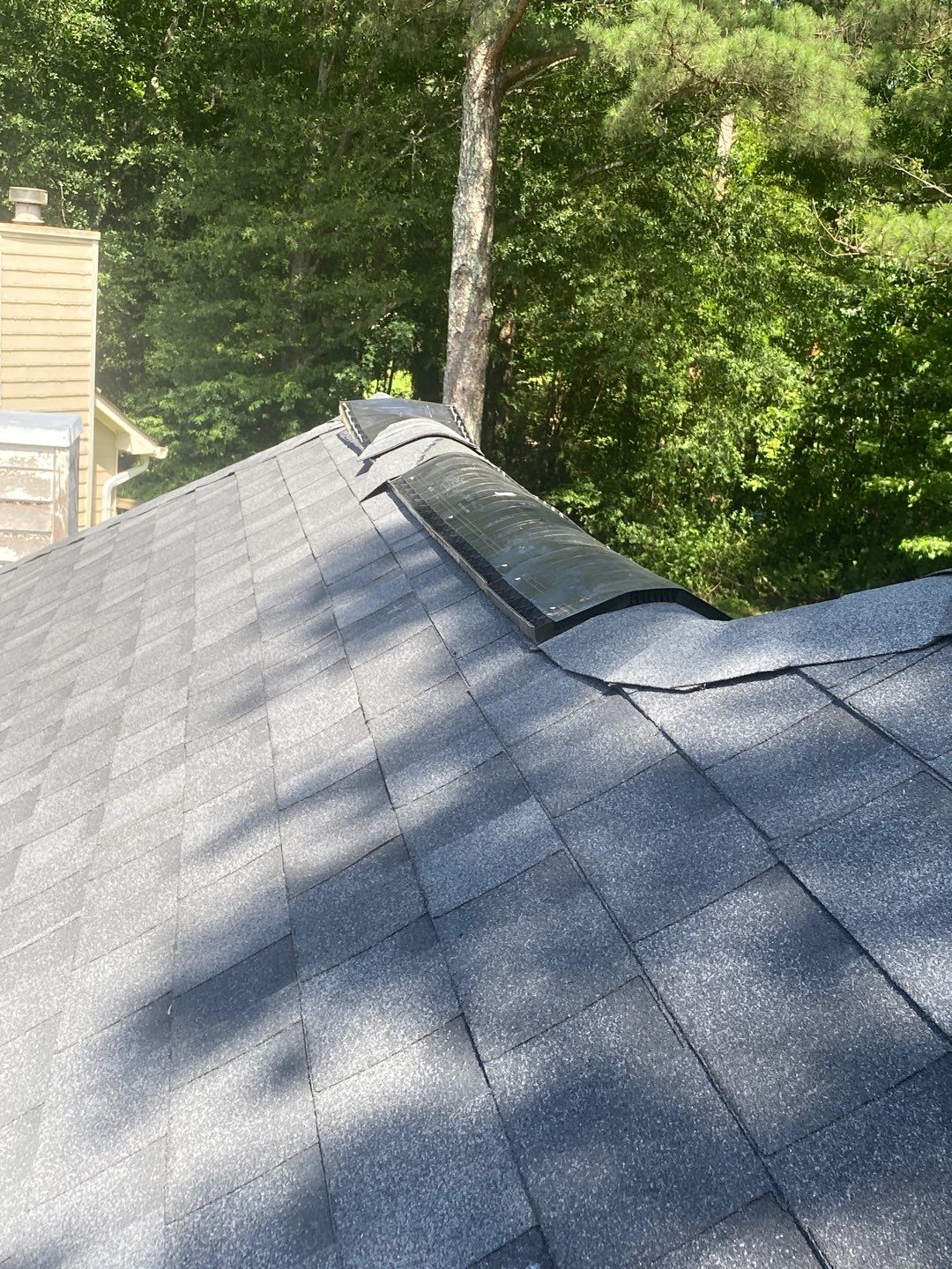 Rotten Wood by Roof Bullies