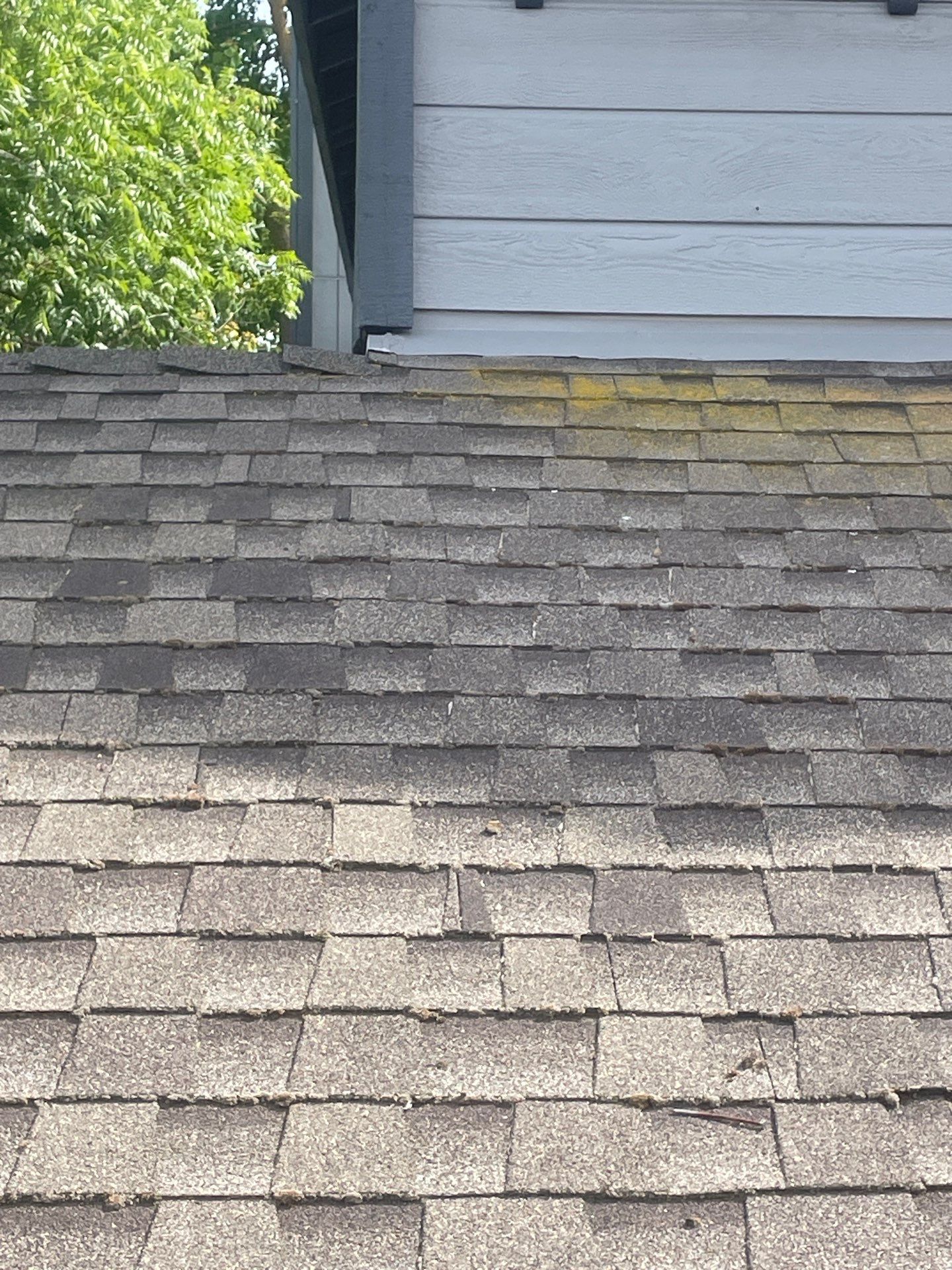 Roof Rejuvenation using Roof Maxx Treatment by Roof Maxx of Folsom