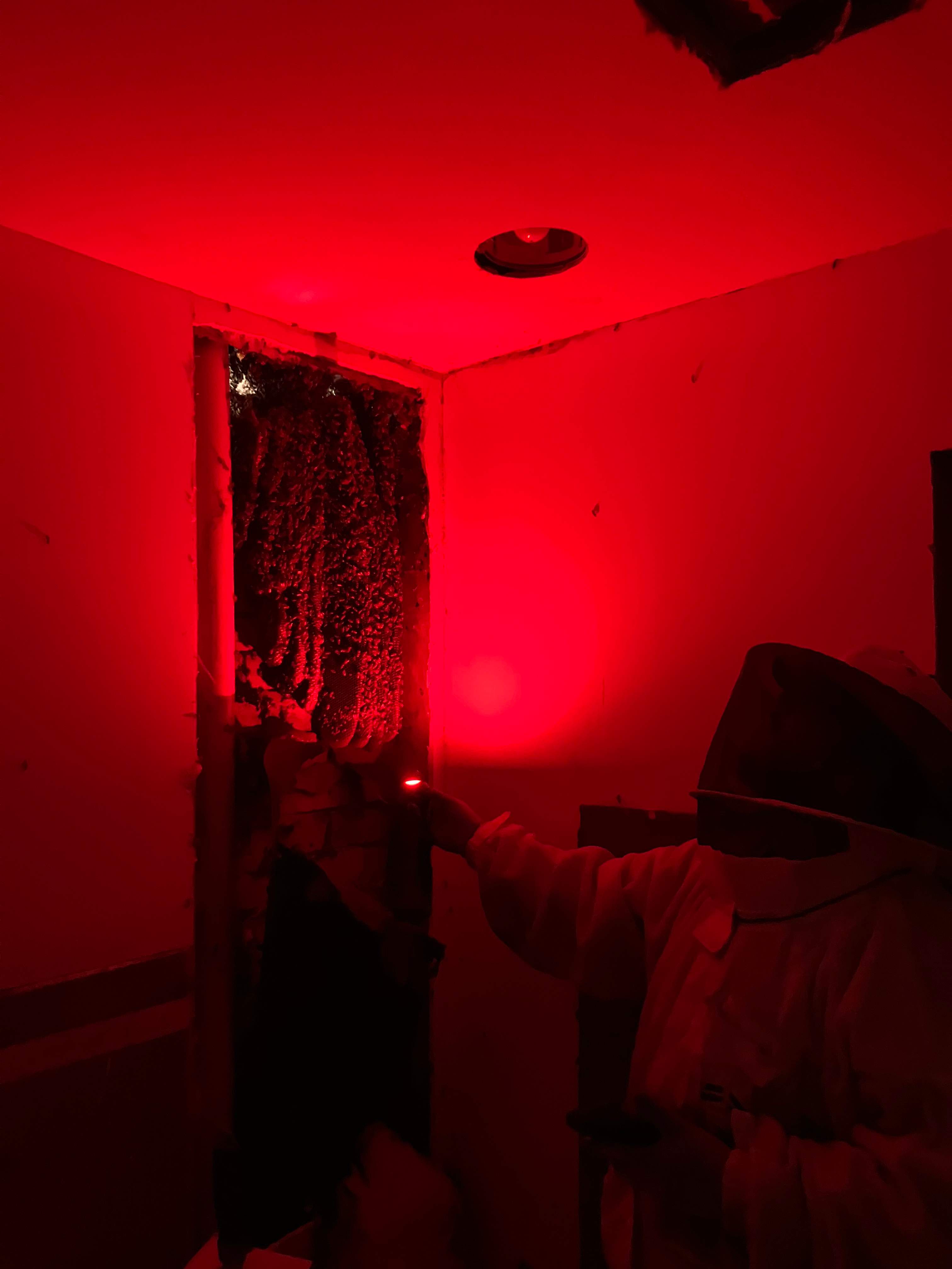 Improper Repair by Rockwall Honey Bee Company