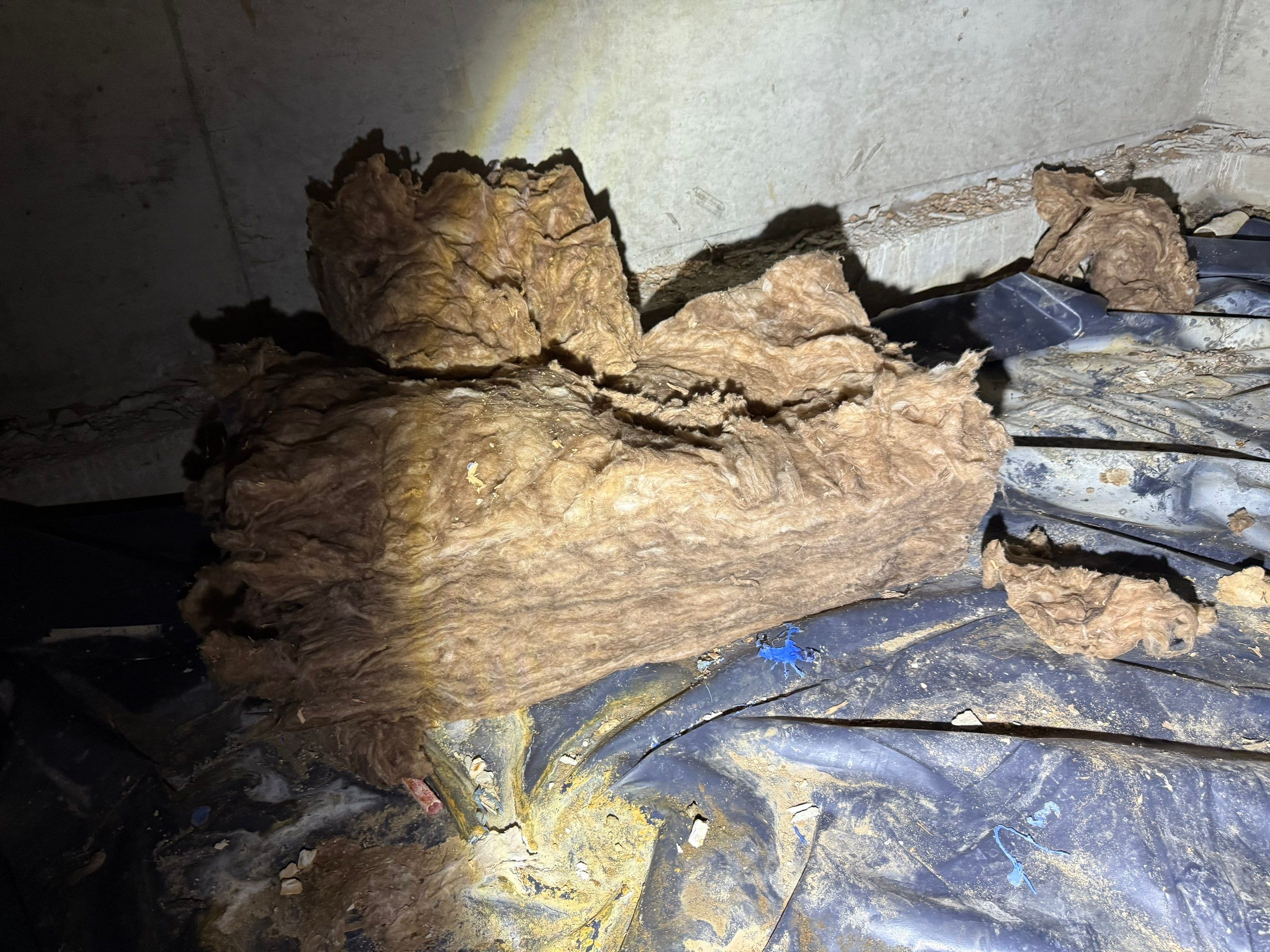 Crawlspace Encapsulation by Hausmeister Home Services INC