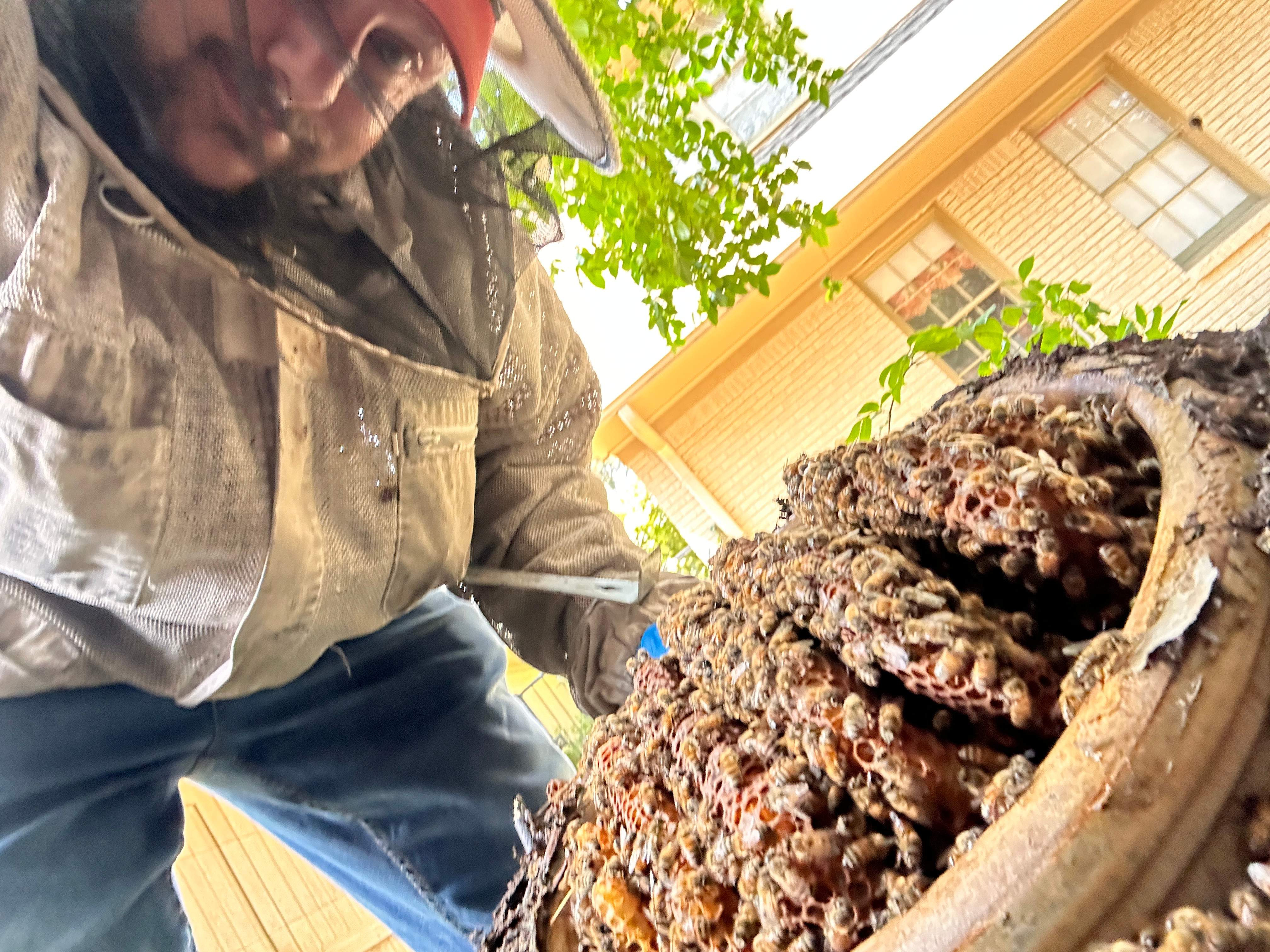 Pot-in-a-Pot by Rockwall Honey Bee Company