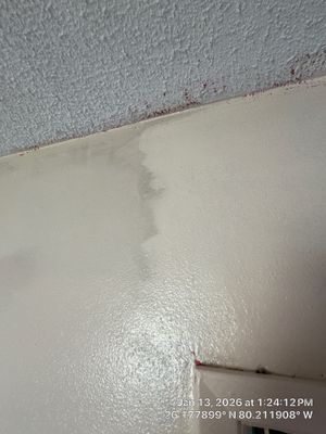 FIRE DAMAGE