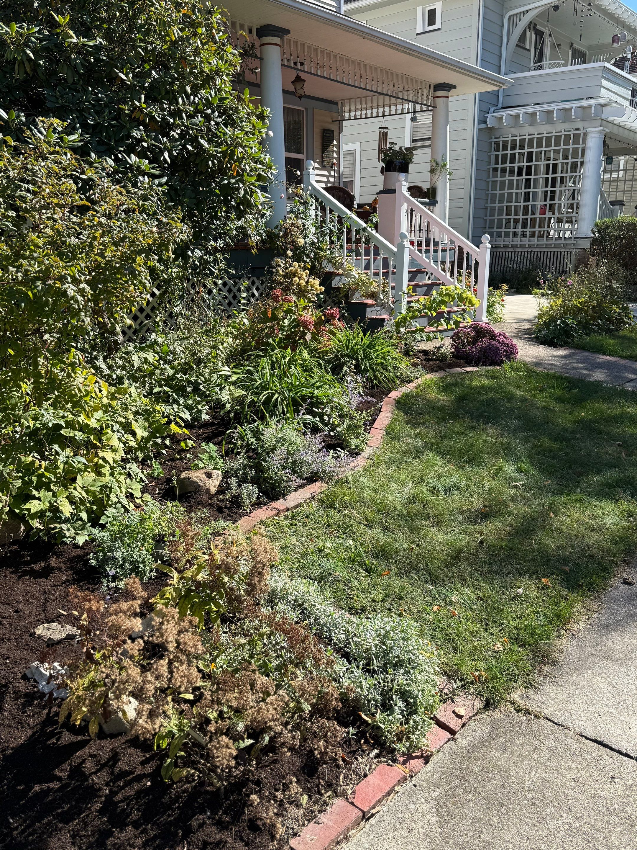 Majestic Garden Maintanance by Elm Rose Gardens