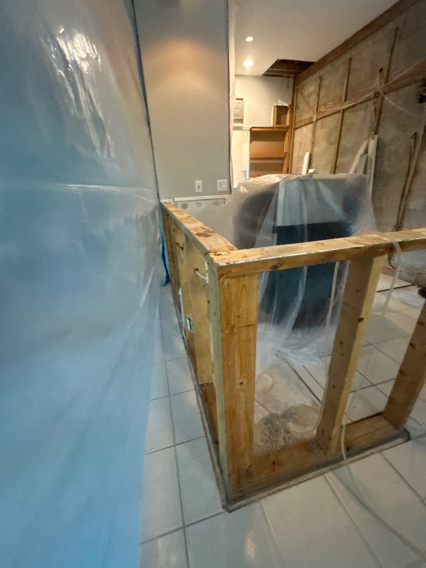 Mold Remediation by Ampm Restoration Services