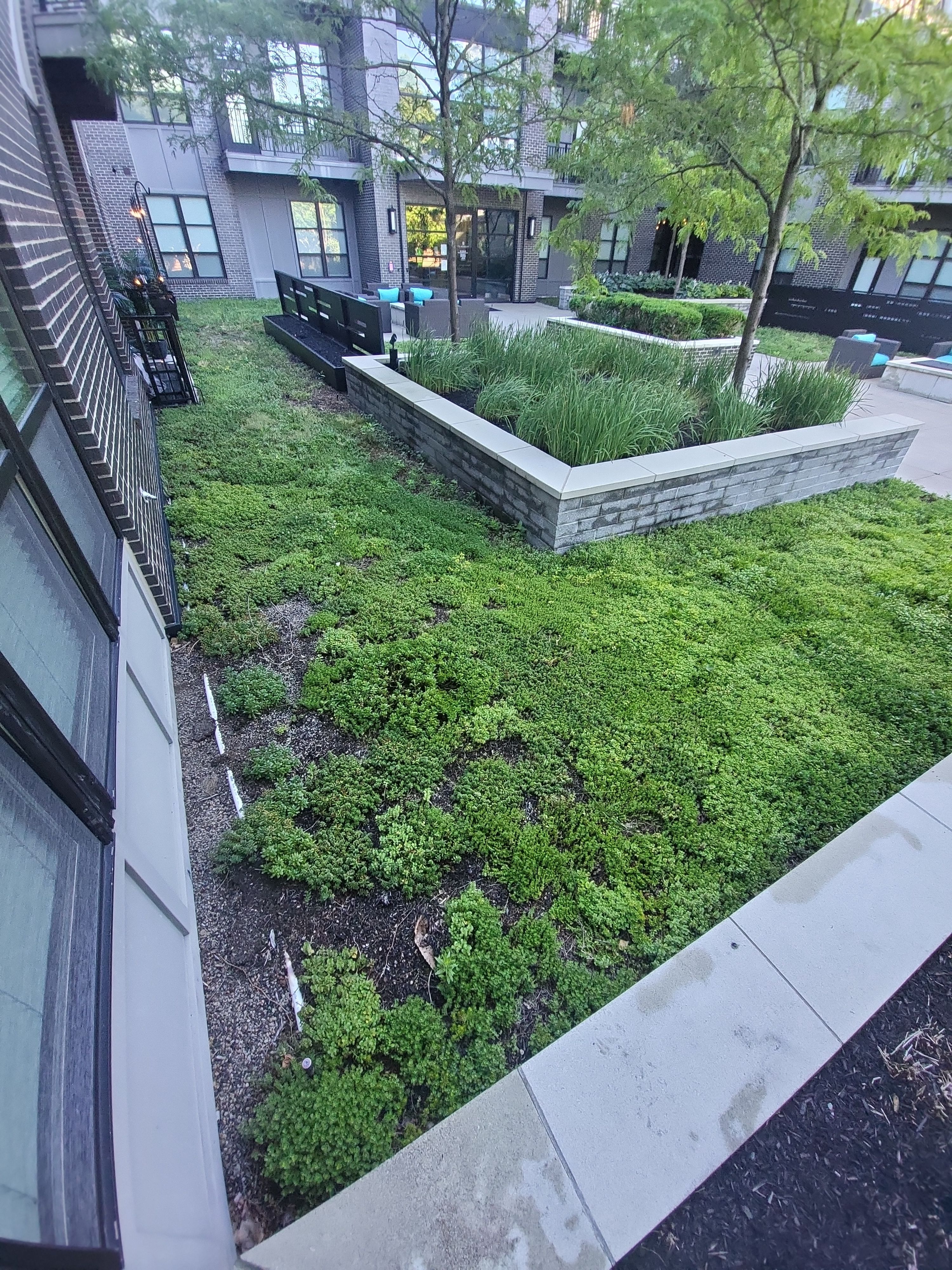 Above Garage Courtyard Synthetic Lawn @ The Broadview by Southwest Greens Midwest