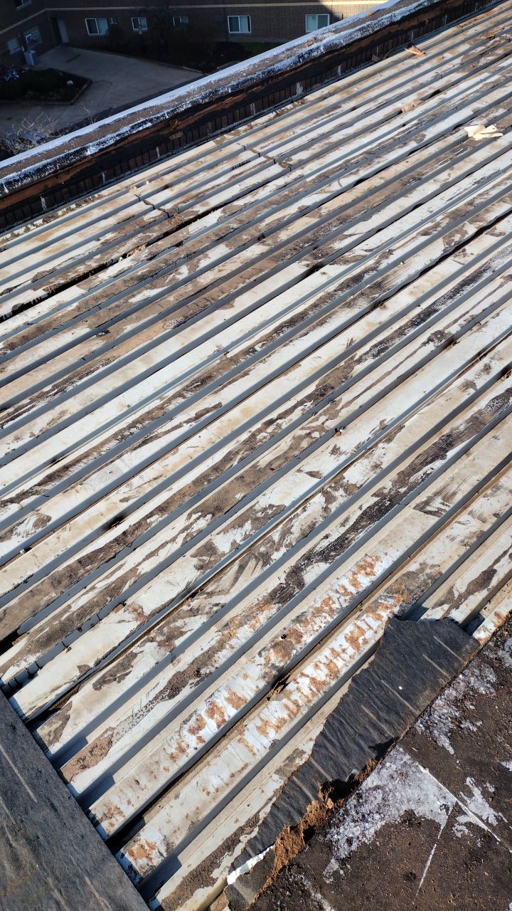 Commercial flat roof parma by Absolute Roofing and Construction