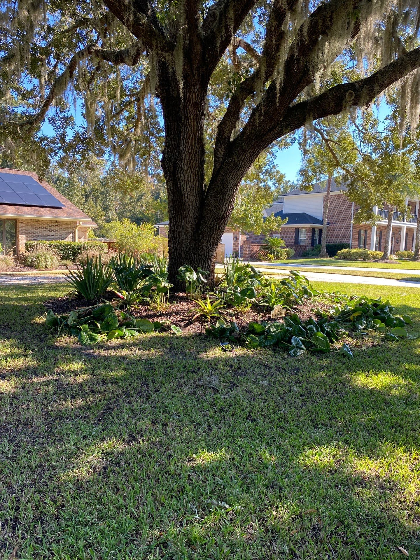 Deerwood Resident | Extreme Clean Up by ProGreen Services