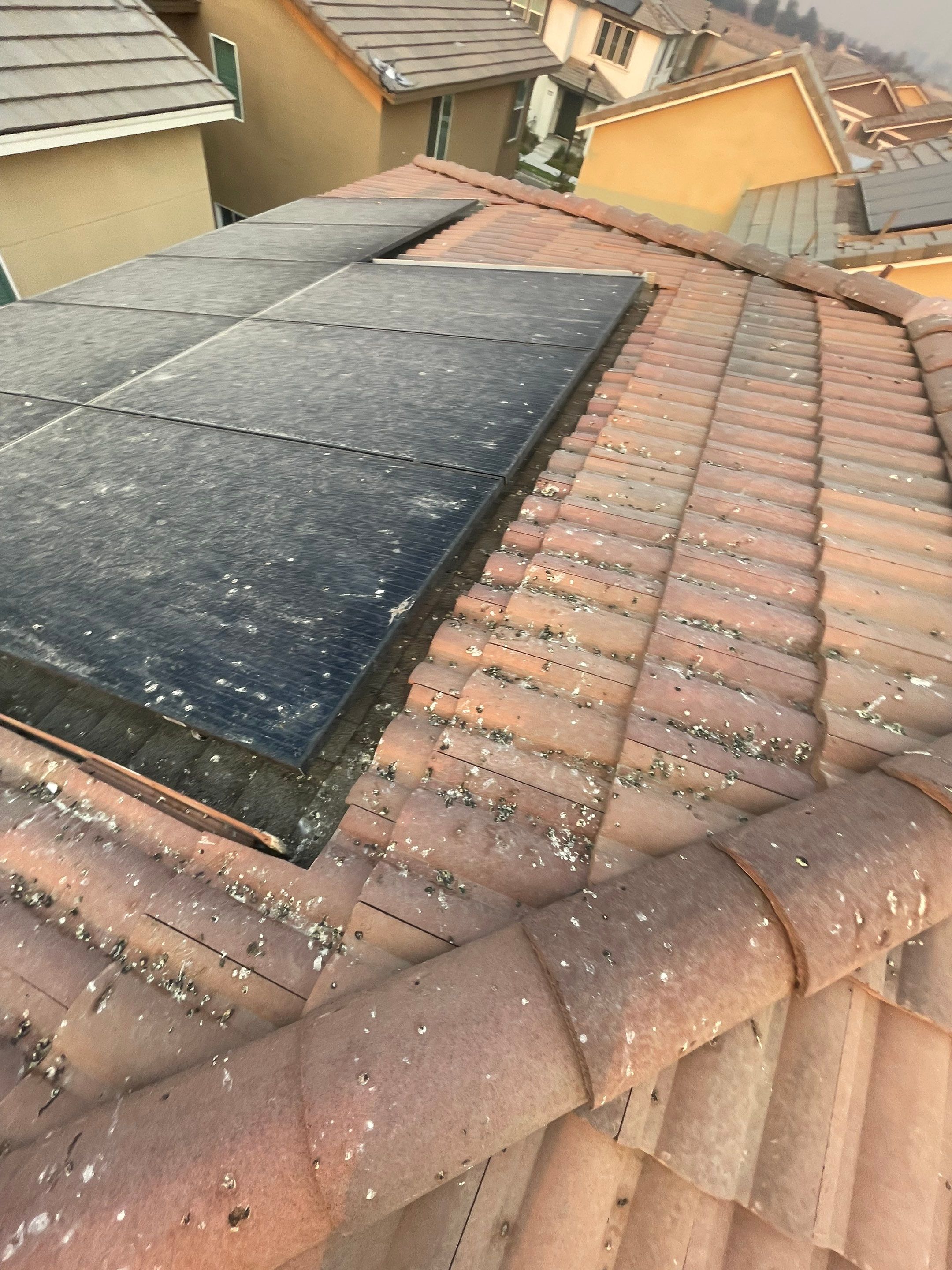 Solar Panel Bird Proofing in Ontario Ca by Palm Coast Solar Cleaning