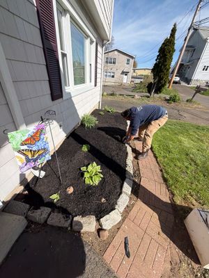 Residential Landscape Refresh and Stone Paver Bed Edging in Woodbridge