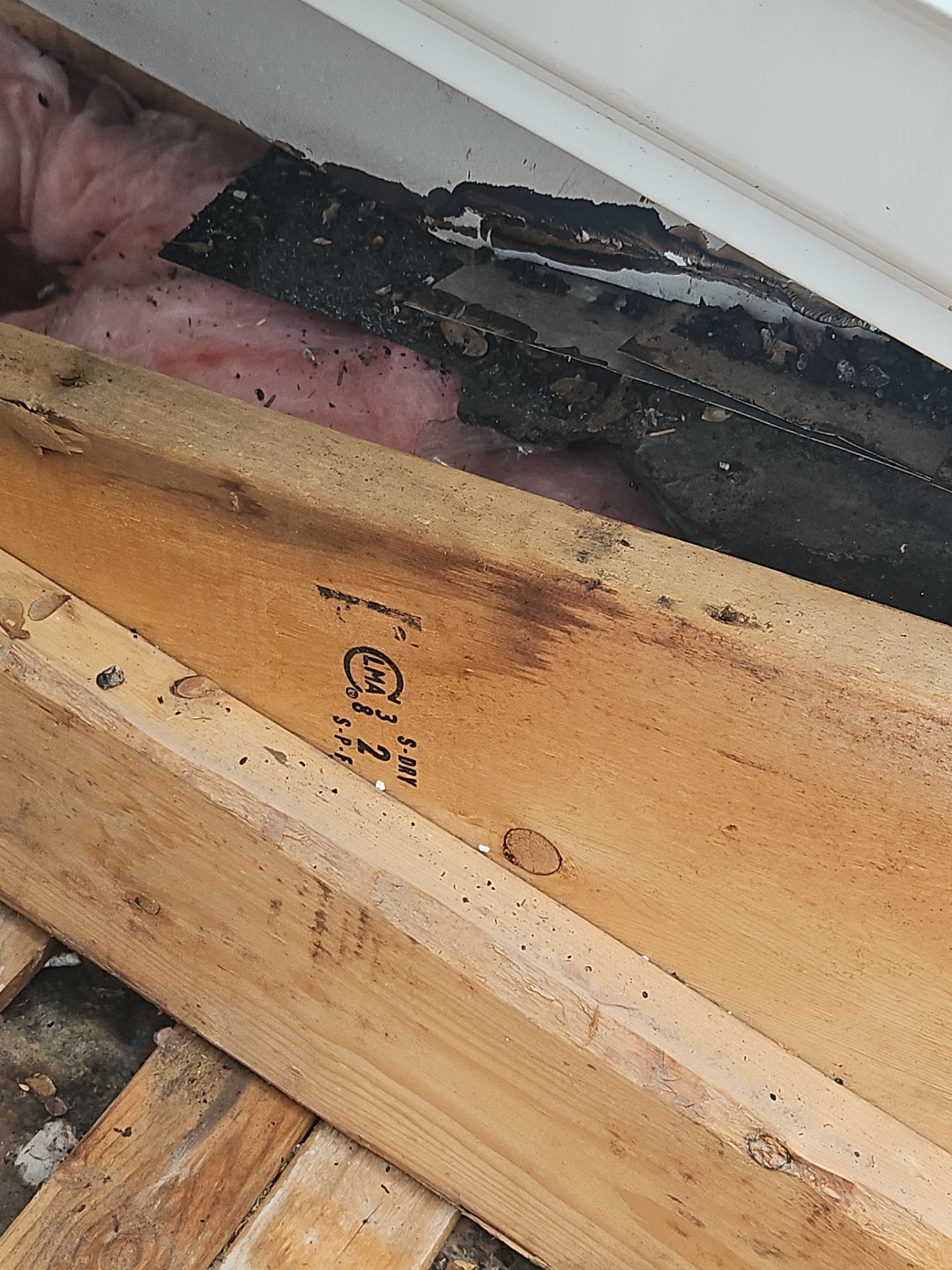 Roofing | Haverhill by Mighty Dog Roofing of Greater Middlesex County