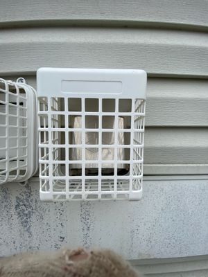 Dryer vent guard installation 