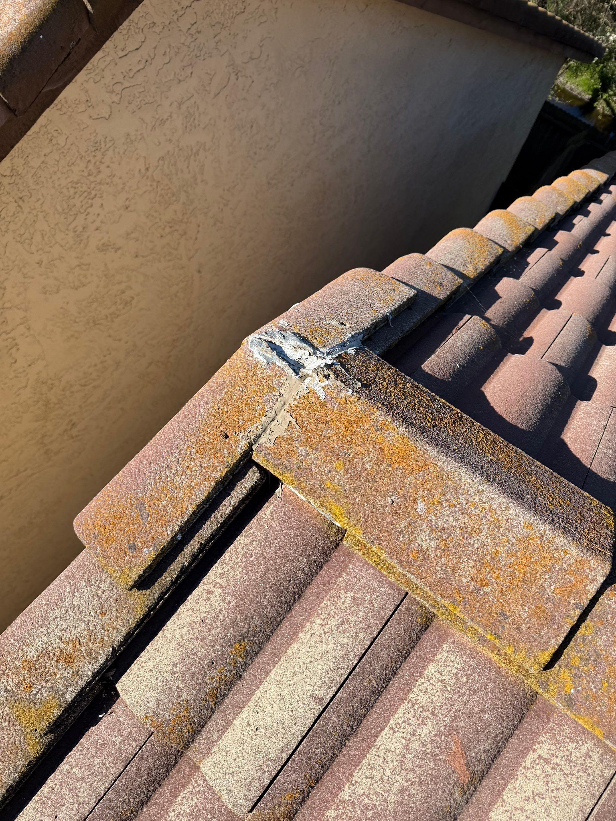 Project in Citrus Heights  by NuLead Construction Inc