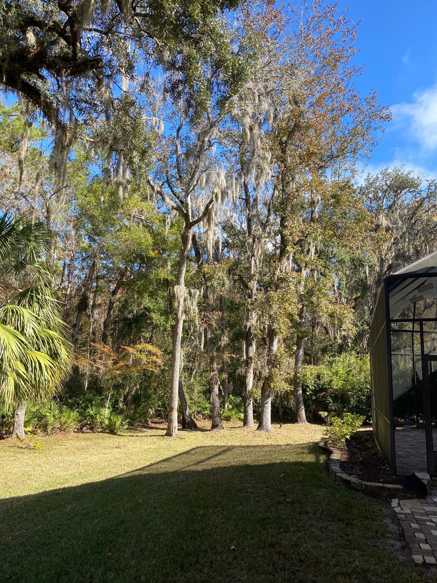 Residential | Tree Service by ProGreen Services