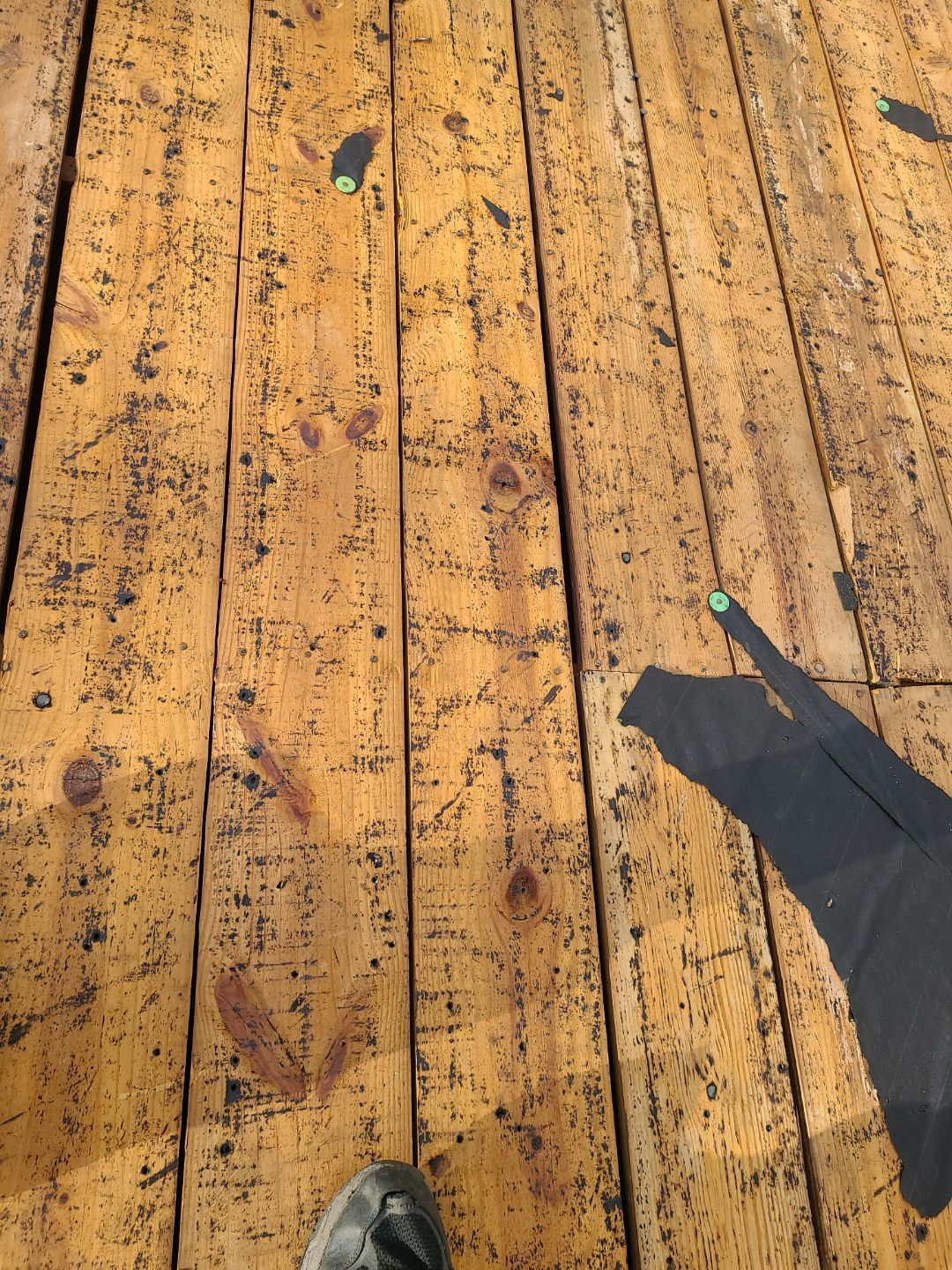 Alexandria CertainTeed Landmark Pro Roof in Max Def Charcoal Black by RM Banning, Inc.