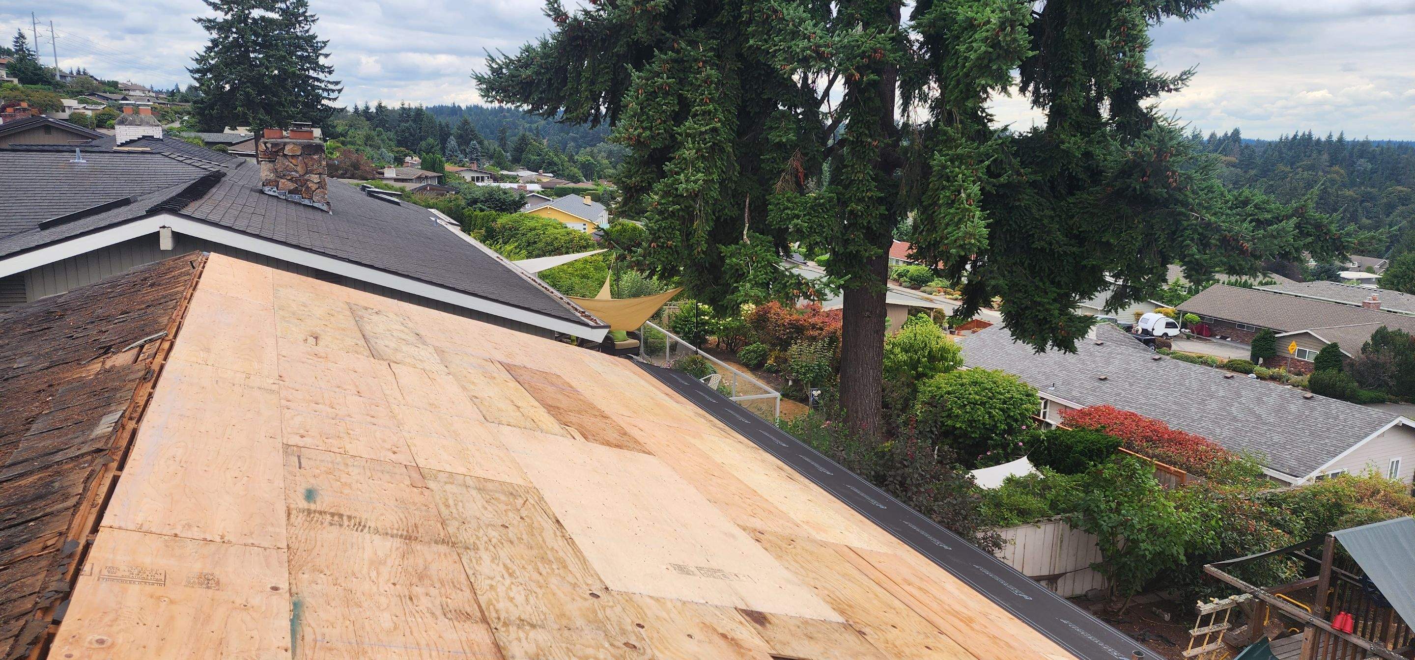Bellevue Johnny by RoofWorks Northwest