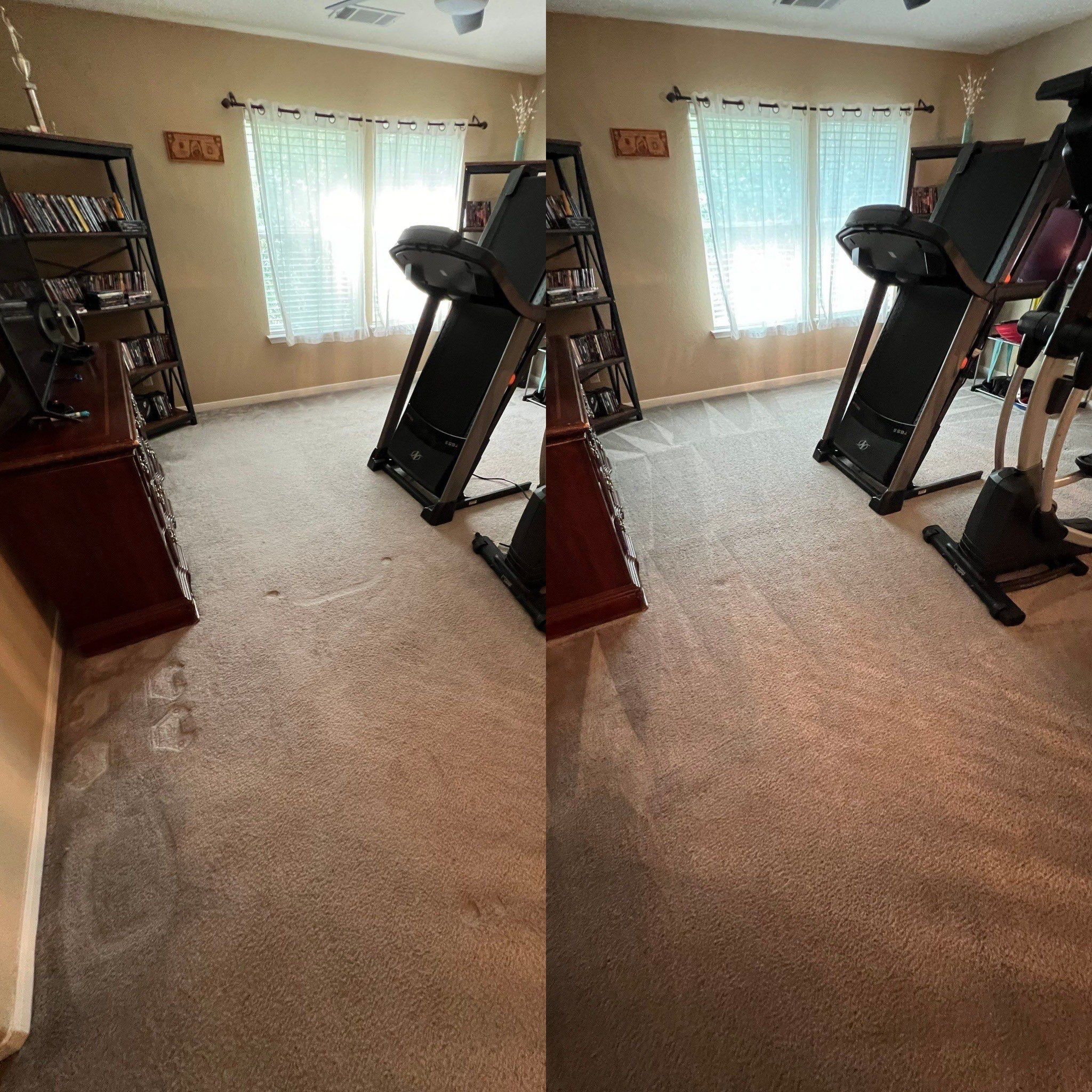 the service being done is carpet cleaning in a home removing stains and dirt from the carpeted area