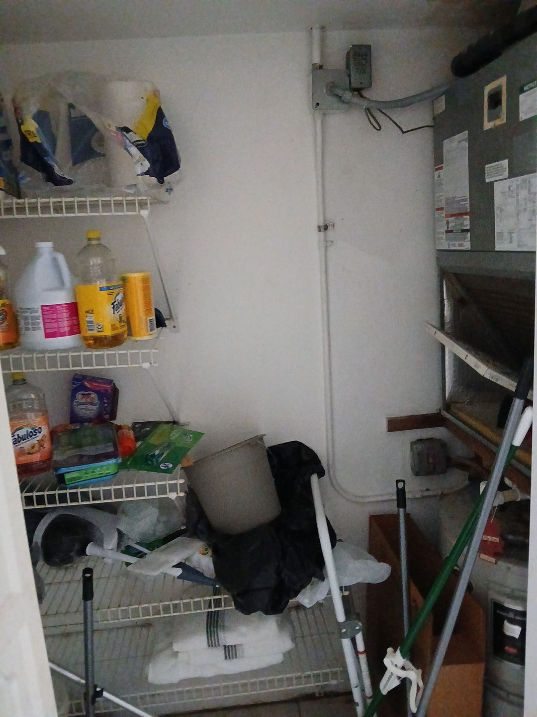 Mold Remediation and Moisture Detection Services in West Palm Beach by SuperClean