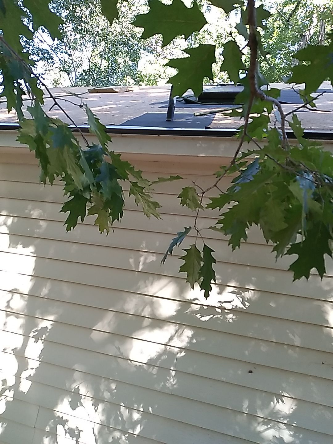 Residential Roofing Installation using Ashphalt Shingles by Indigo State Roofing