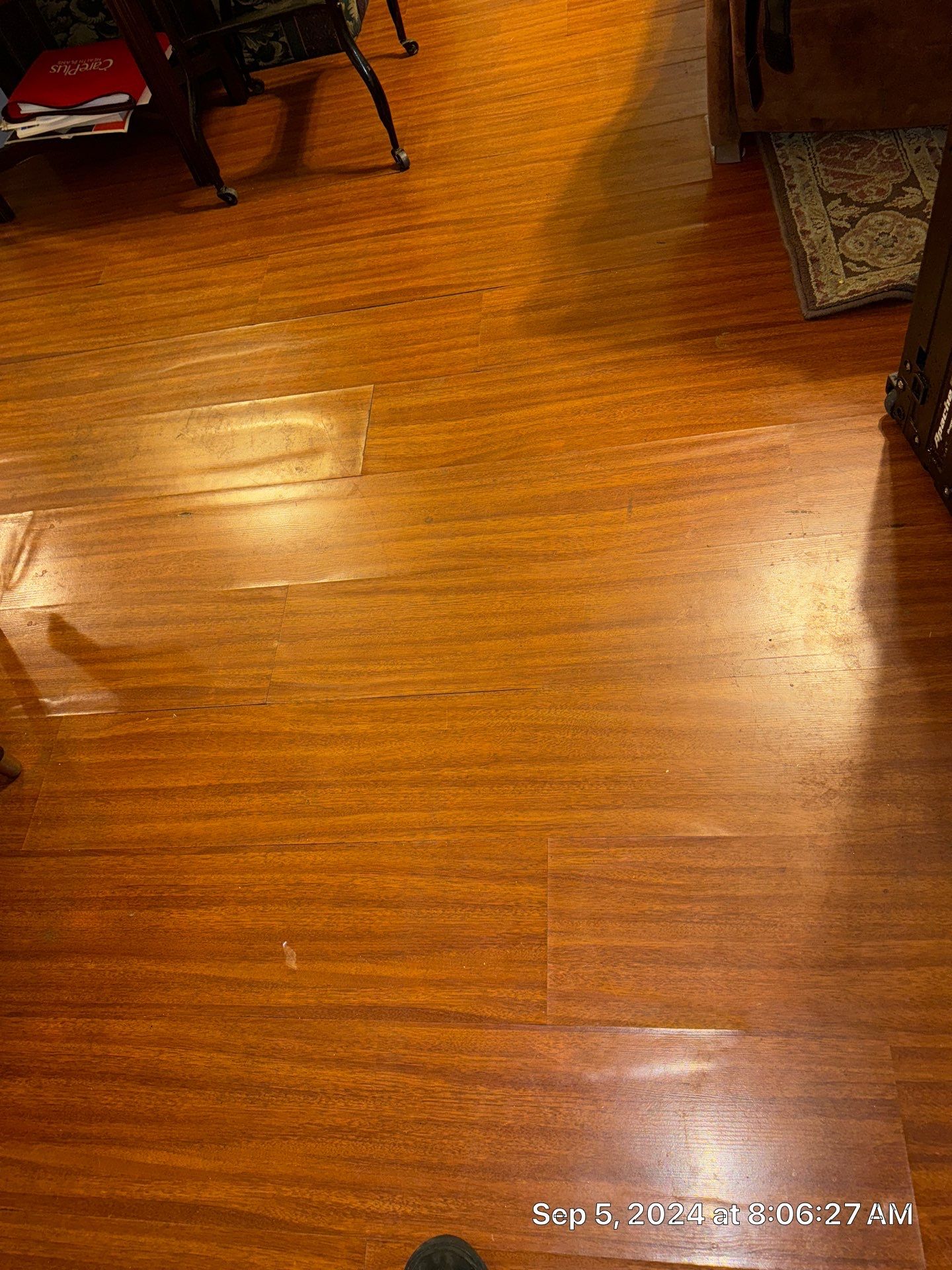 Water Damage Mitigation and Thermal Moisture Inspection in Miami by SuperClean 