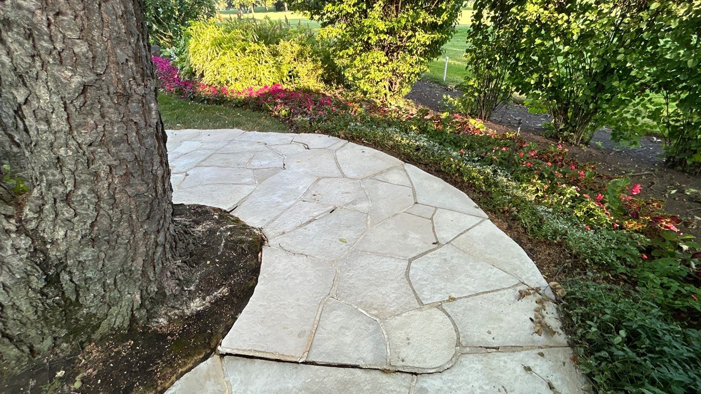 Brick paver clean, sand and seal.  using Surebond SB-1300 by Northern Power Washing LLC.