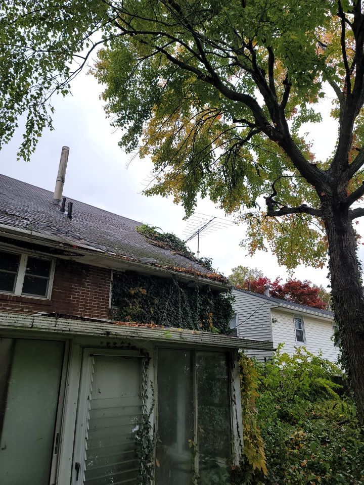 Brand: Atlas Pinnacle Color: Pristine Black by Eagle Eye Roofing