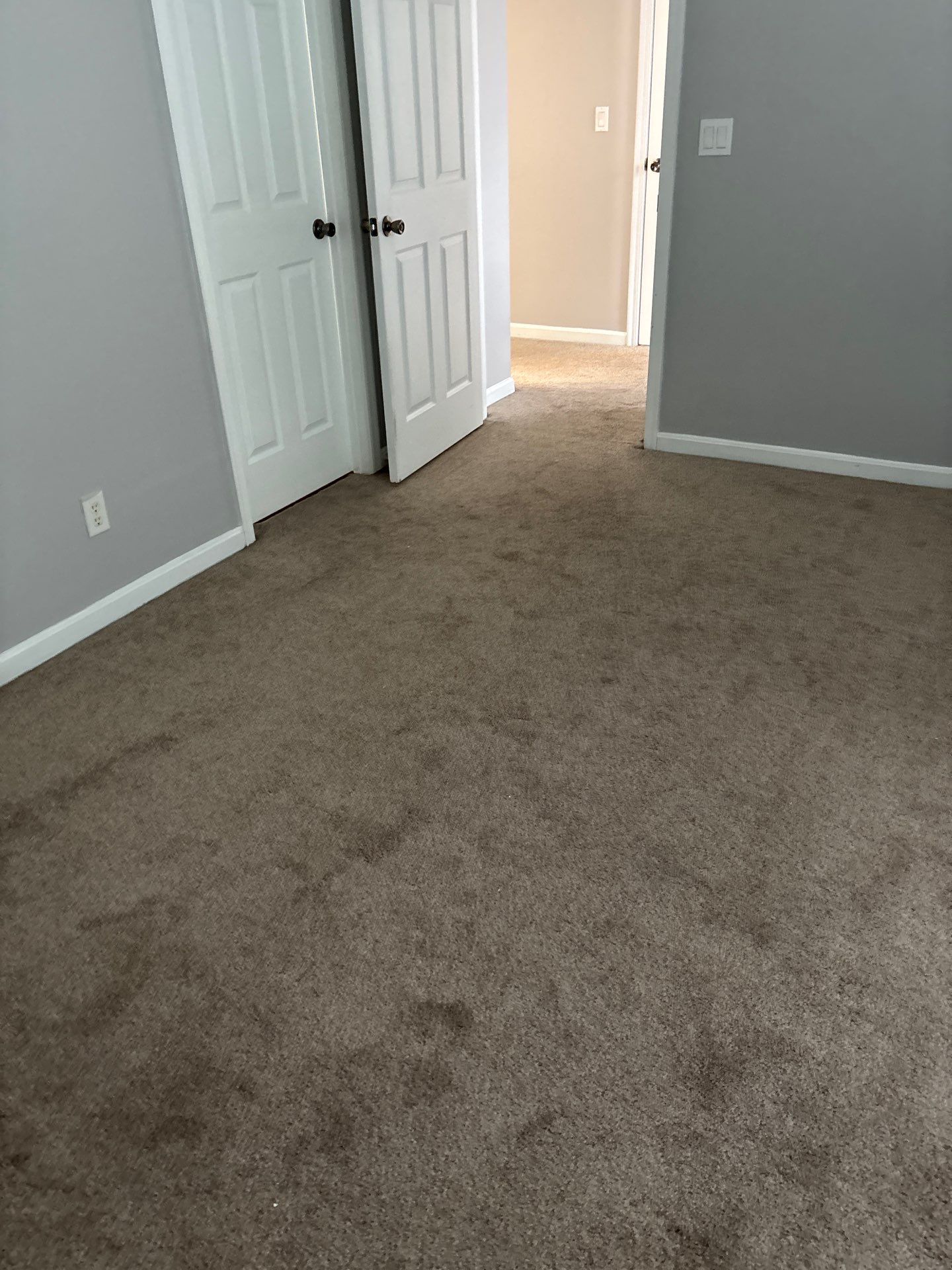 LVP Project in Burlington by Footprints Floors Kentucky