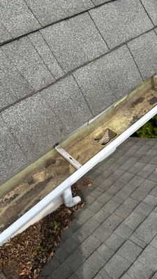 Turtle Shell gutter protection installation in Warrenville, IL 60555, photograph 13