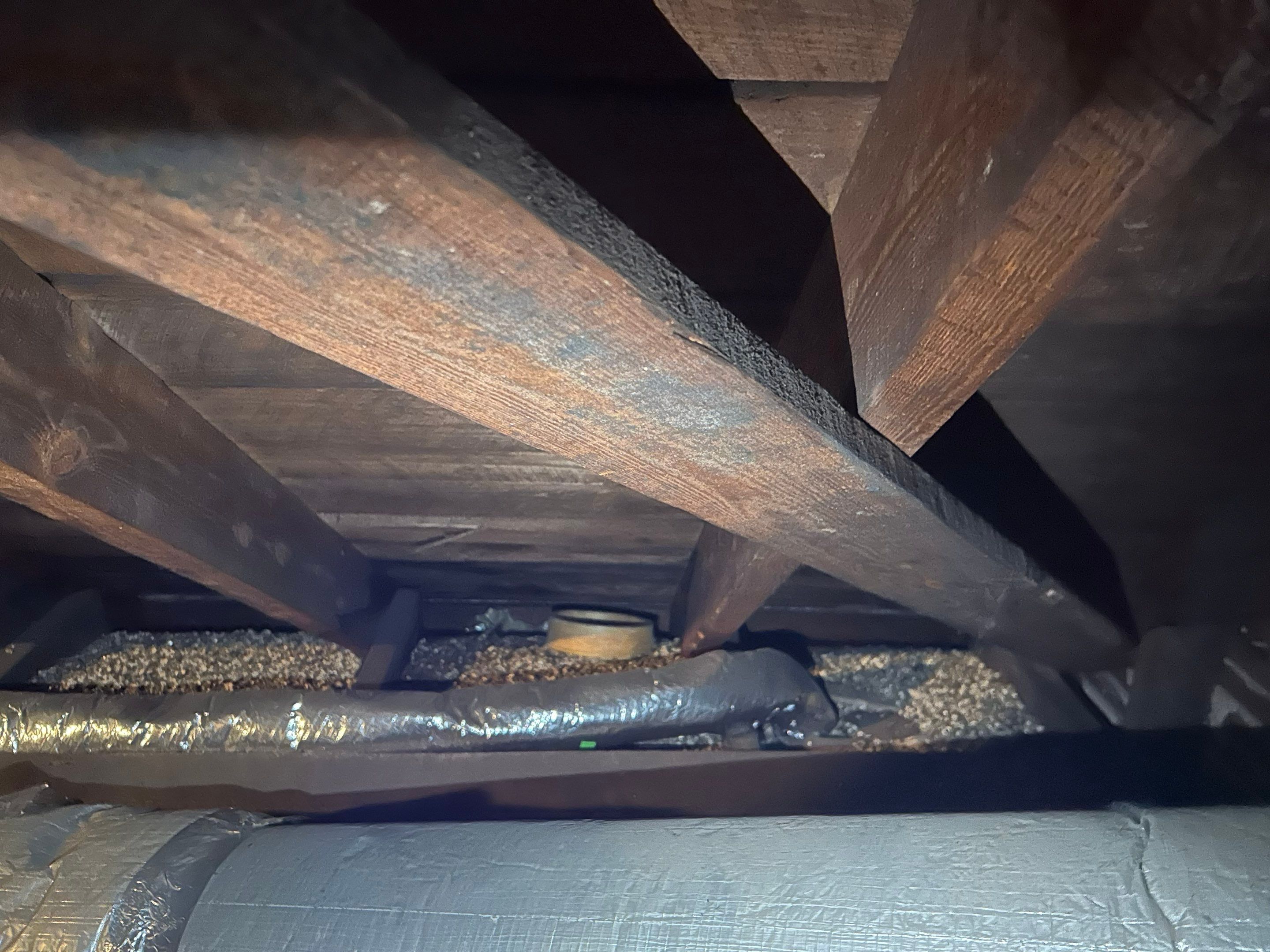 Alexandra: Residential Metal Roofing  by RM Banning, Inc.