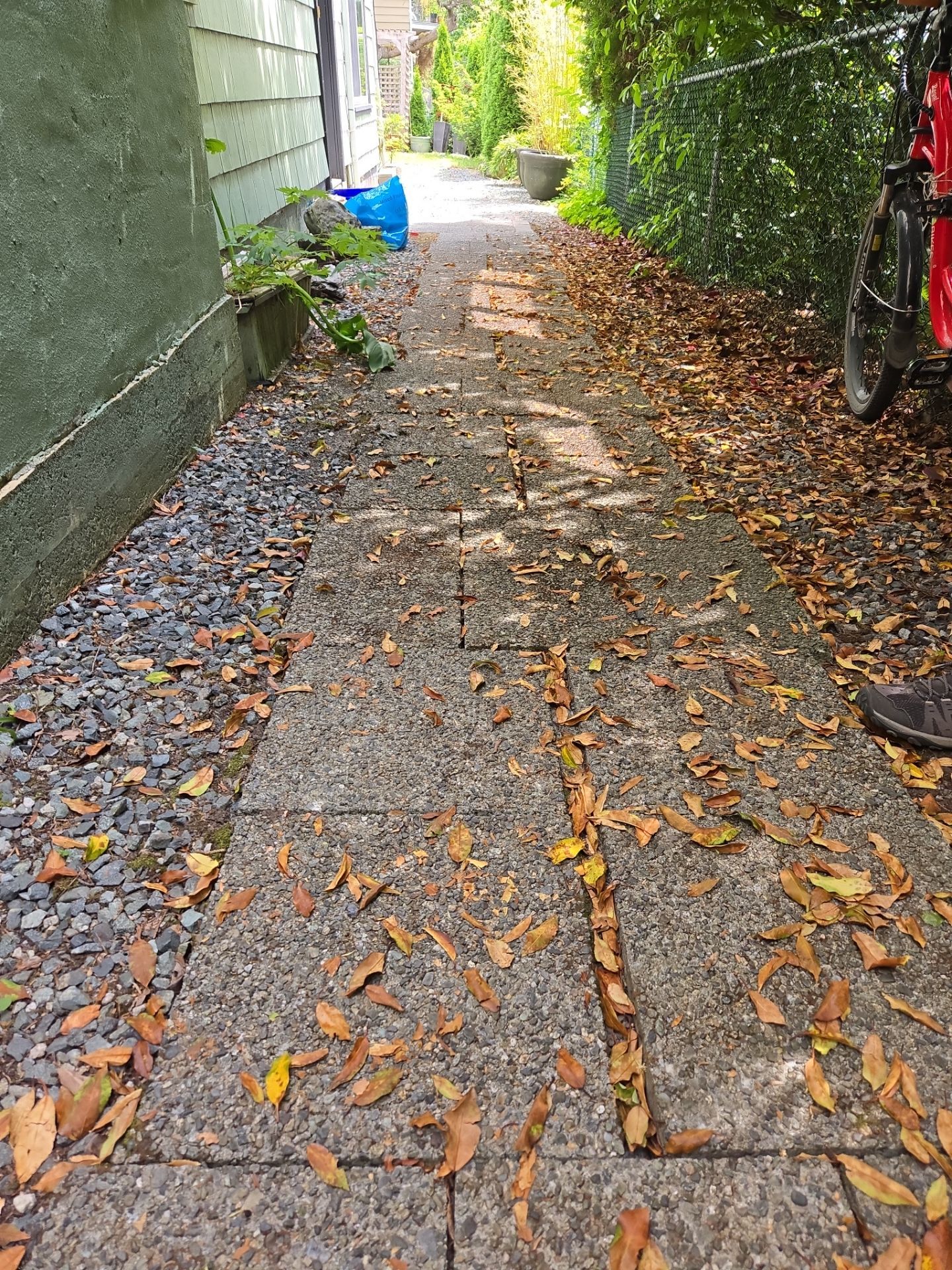 Complete Landscape Transformation - Esquimalt, BC by Habanero Garden and Exterior Care