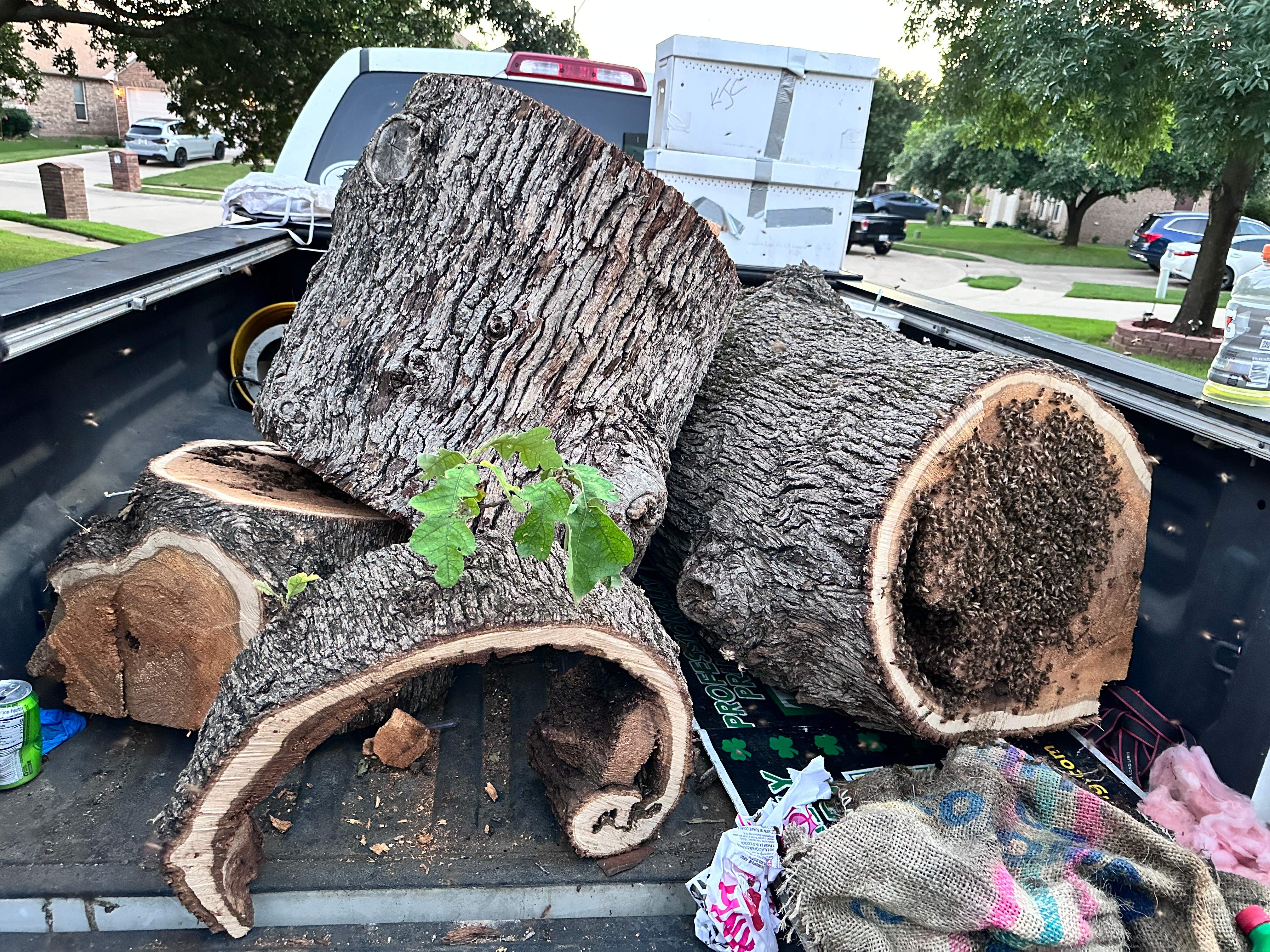 Wina-tree-go by Rockwall Honey Bee Company