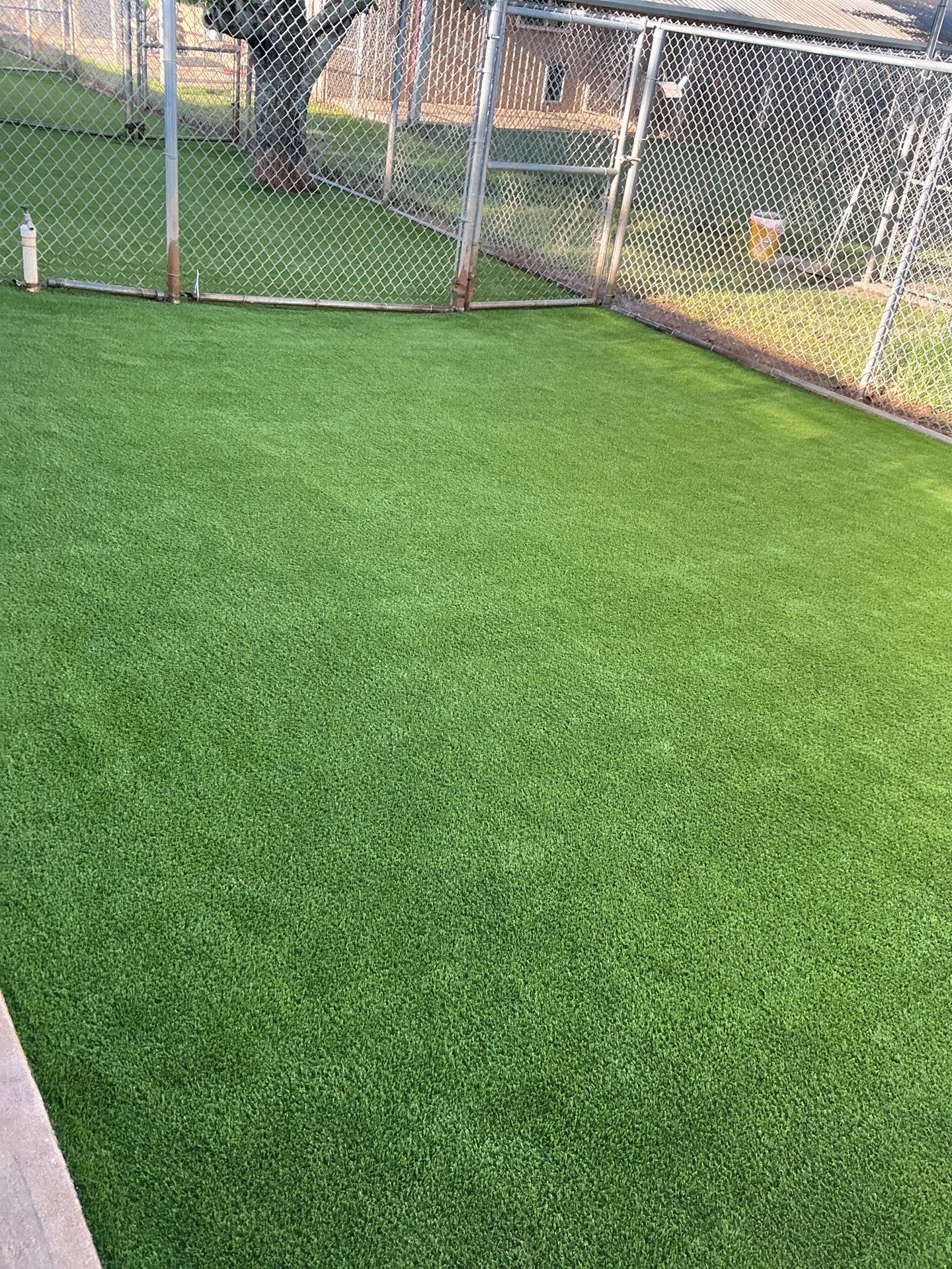 Synthetic Turf Installation using Pet Turf by Turf Concepts