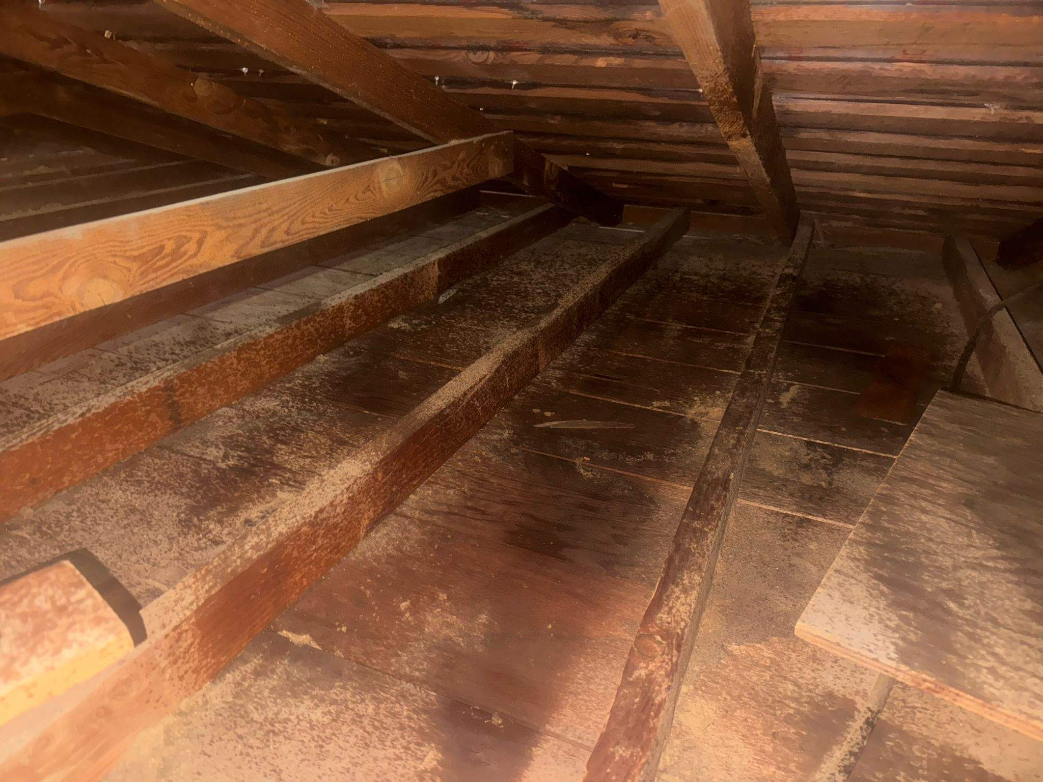 Project in Hastings Ranch Dr by Advanced Attic Solutions