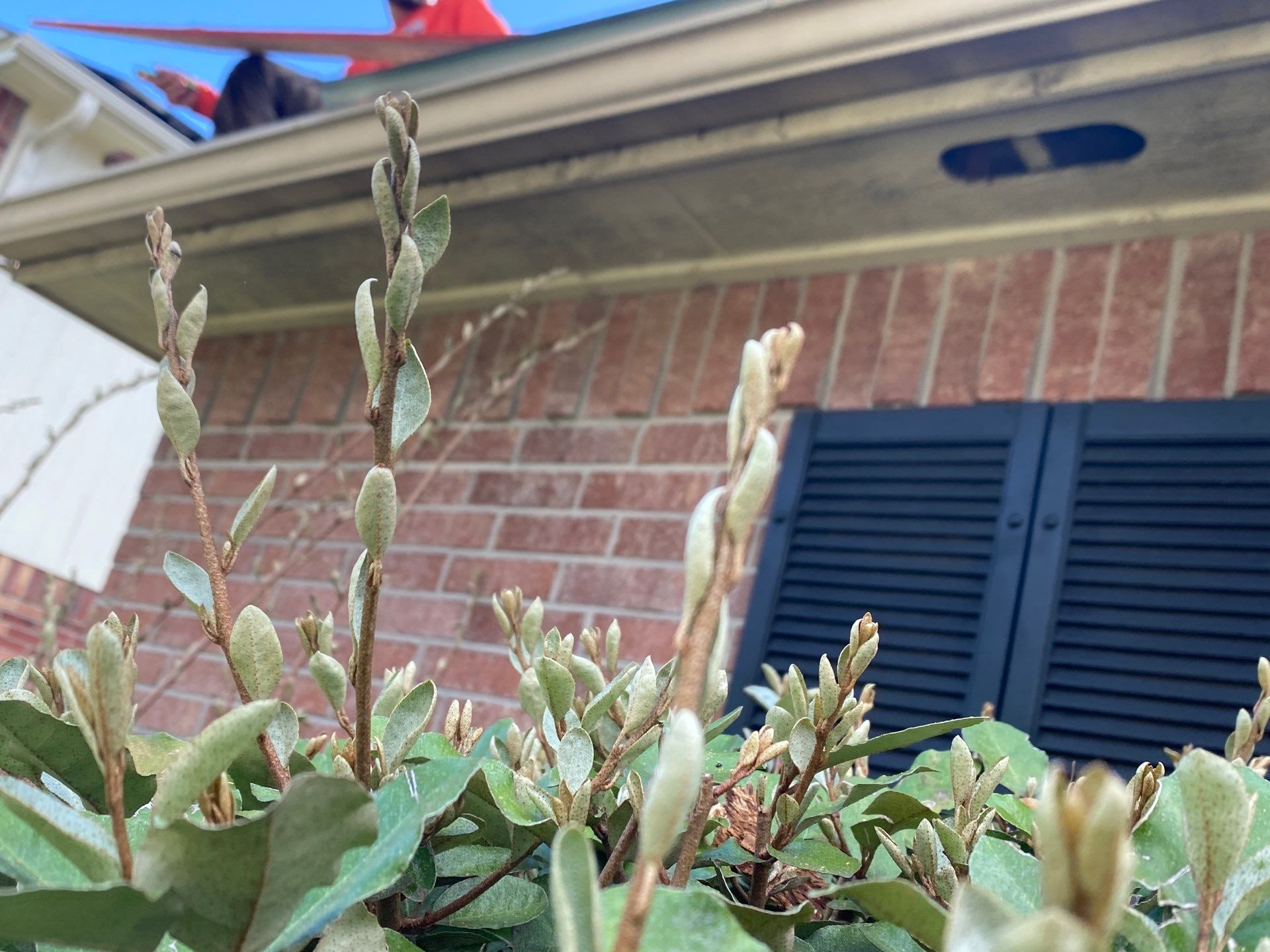 Residential Roofing Repair using Owen's Corning Duration (Lifetime) Shingles by Roof Repair Services LLC