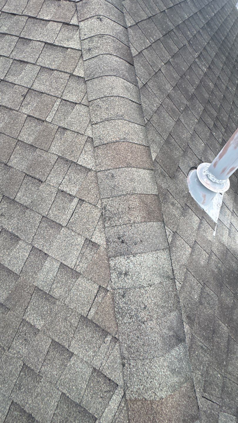 Franky Inspection by Boss Hogg Roofing