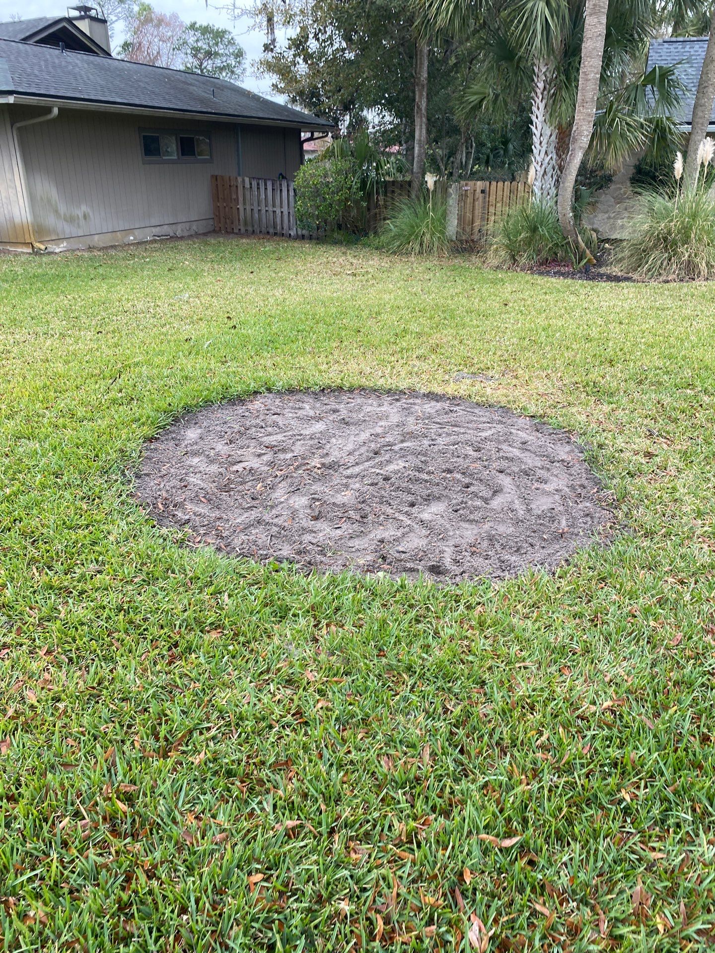 Deerwood | Live Oak Planting Project  by ProGreen Services