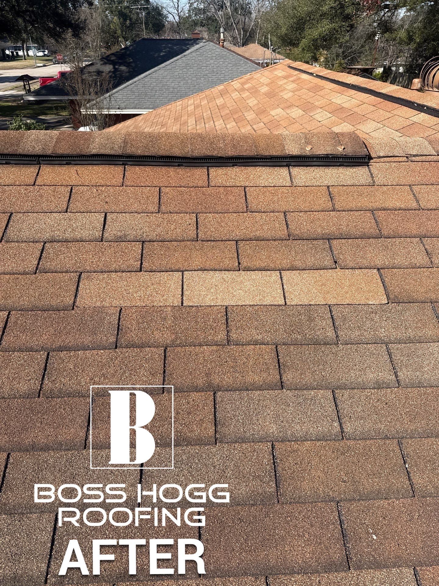 Boss Hogg Roofing featured photo.