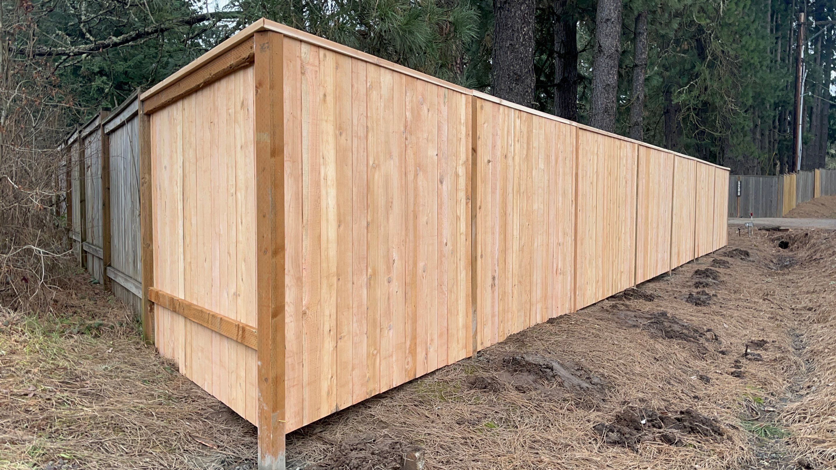 Hillsboro Fence Repair by Paul Schopp