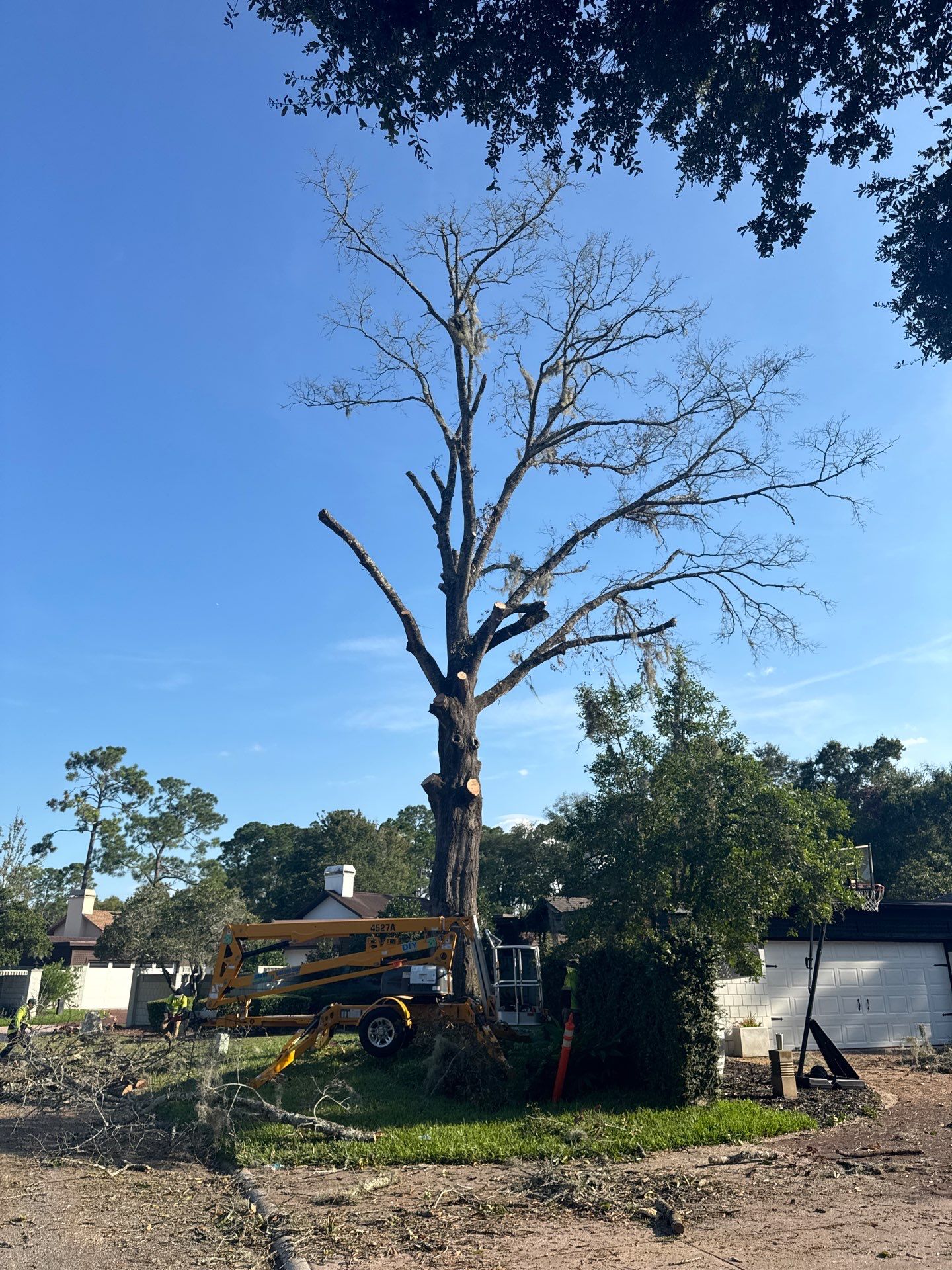 Deerwood Resident | Tree Removal by ProGreen Services