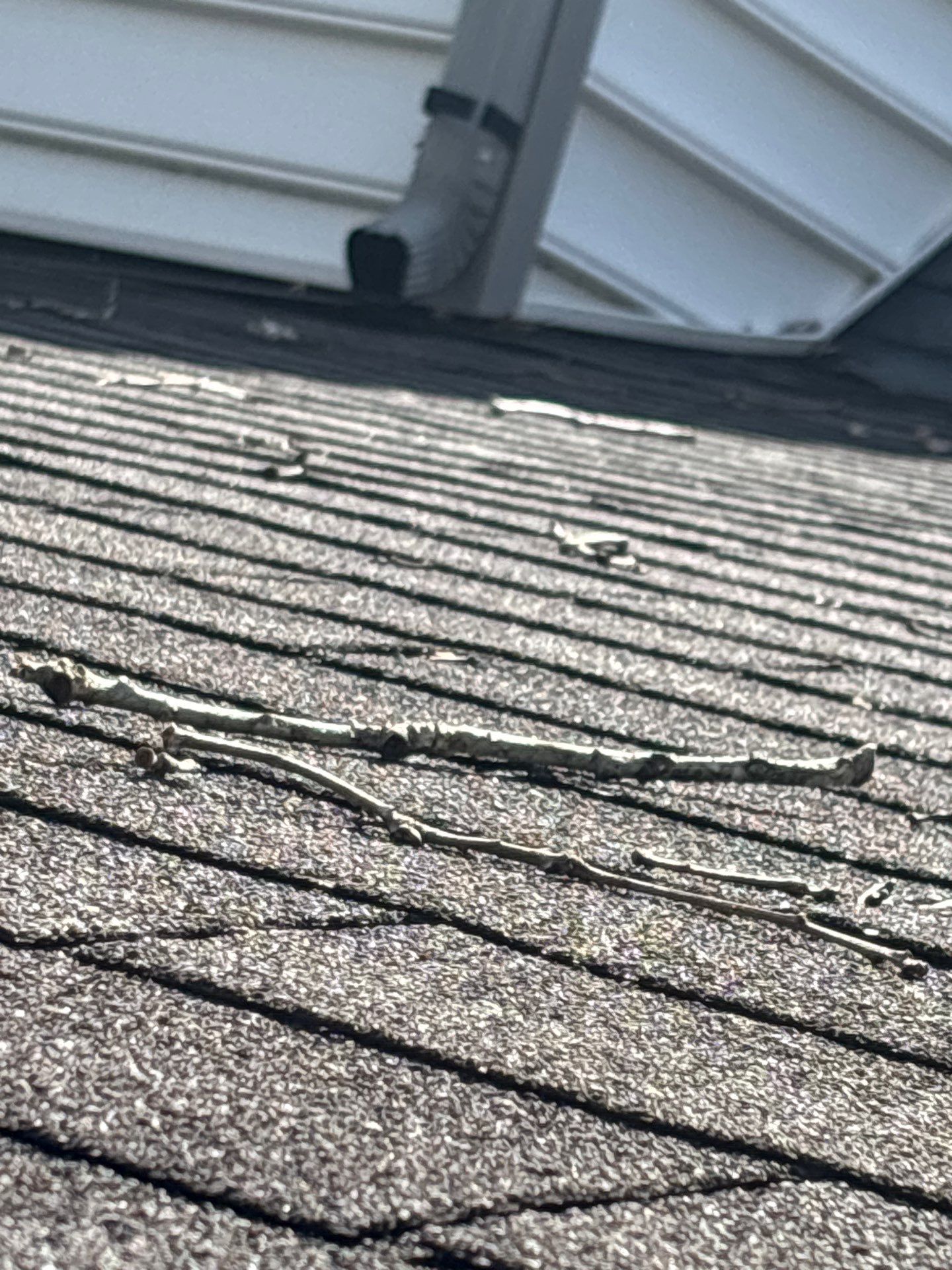 Project in Mechanicsville by Roof Maxx of Midlothian