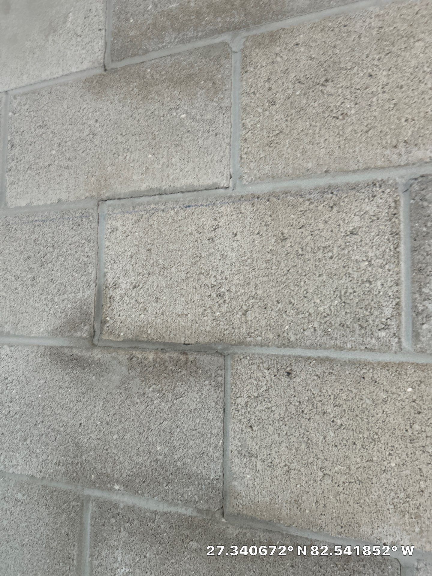 Commercial Mold Removal  by Ampm Restoration Services 